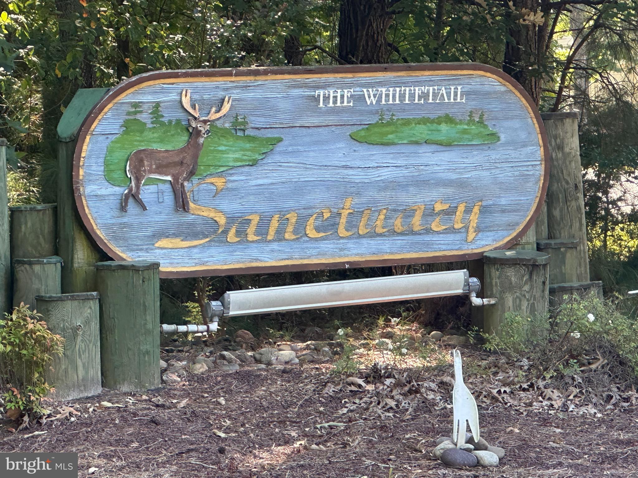 OCEAN PINES - WHITETAIL SANCTUARY - Land