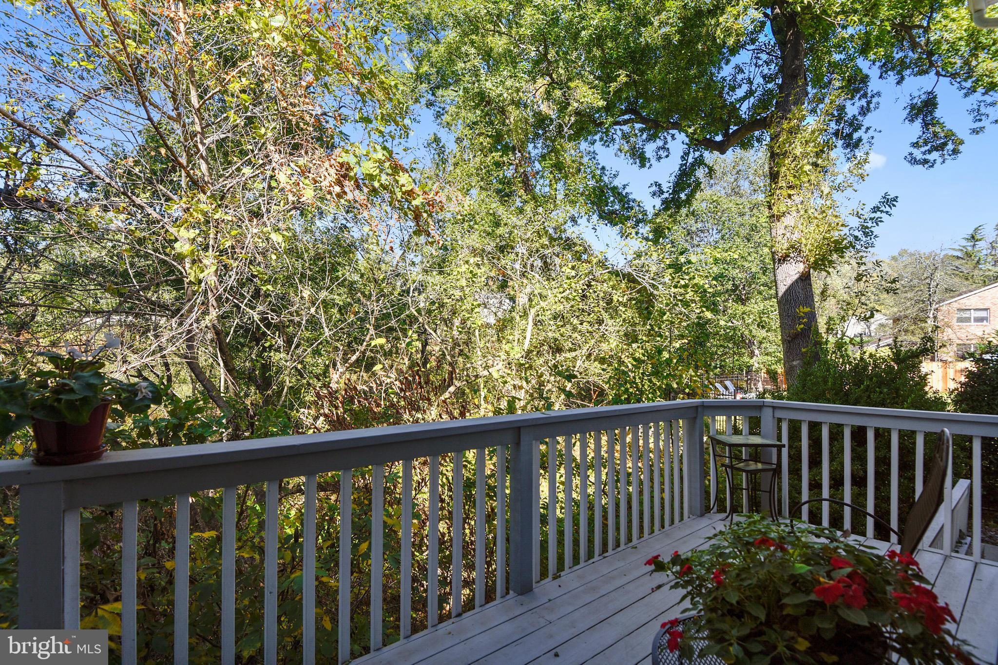 PENDENNIS MOUNT - Residential