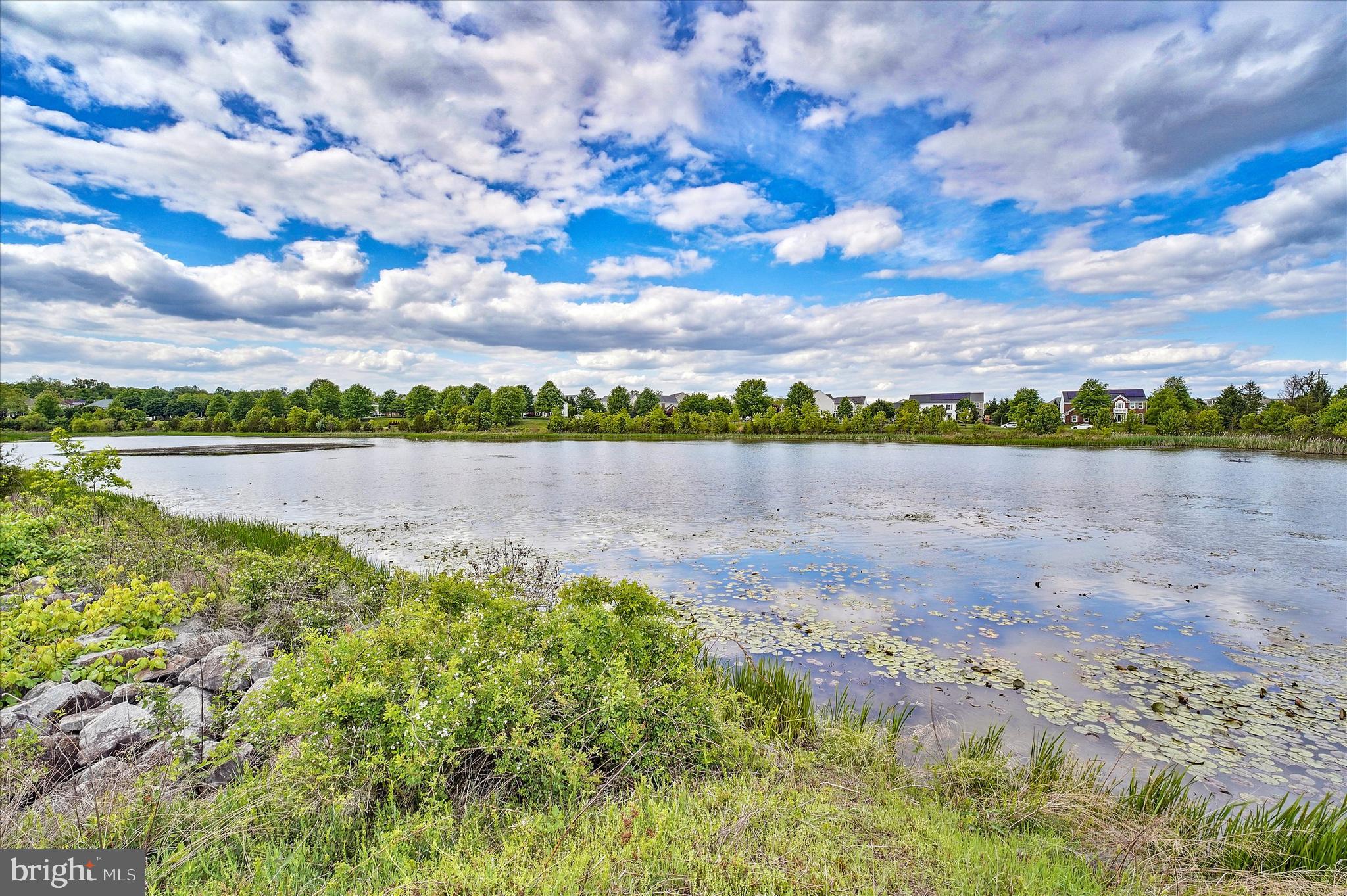 THE RIDINGS AT BLUE SPRING - Residential