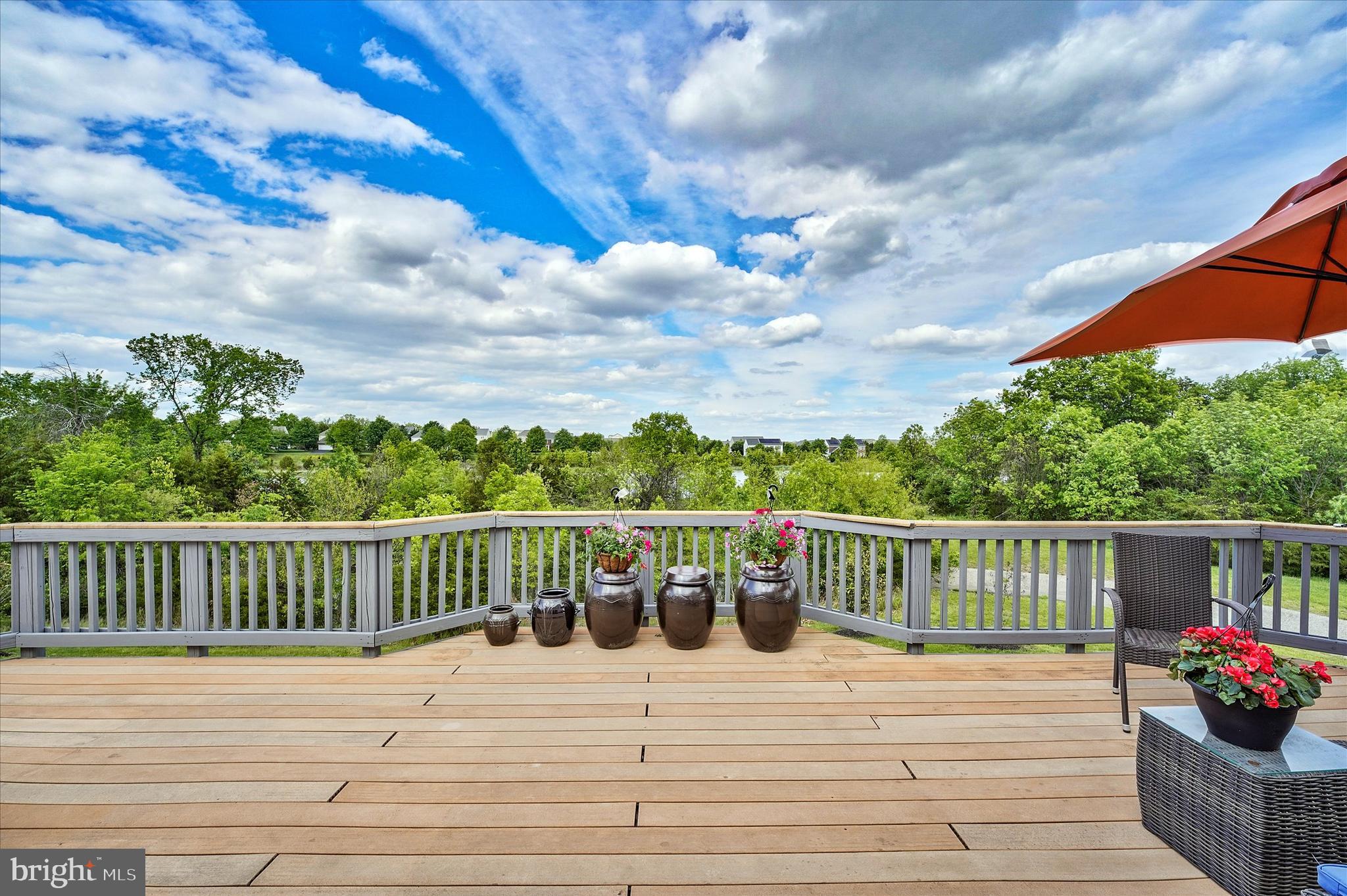 THE RIDINGS AT BLUE SPRING - Residential