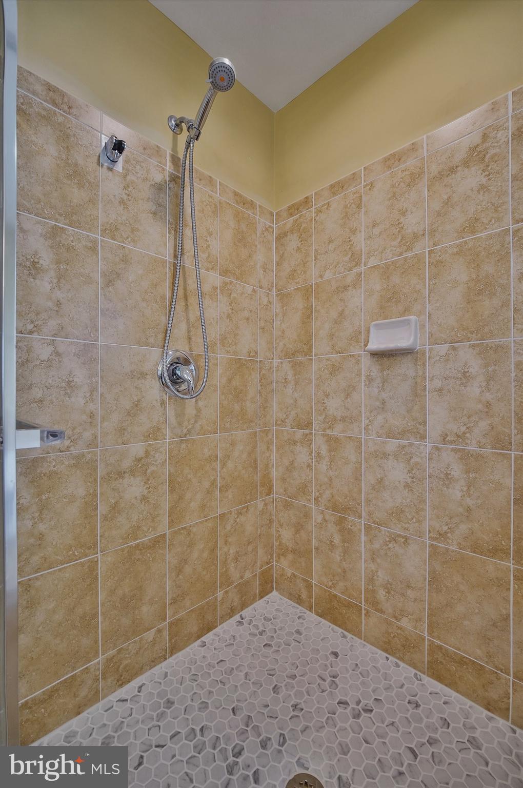 THE RIDINGS AT BLUE SPRING - Residential