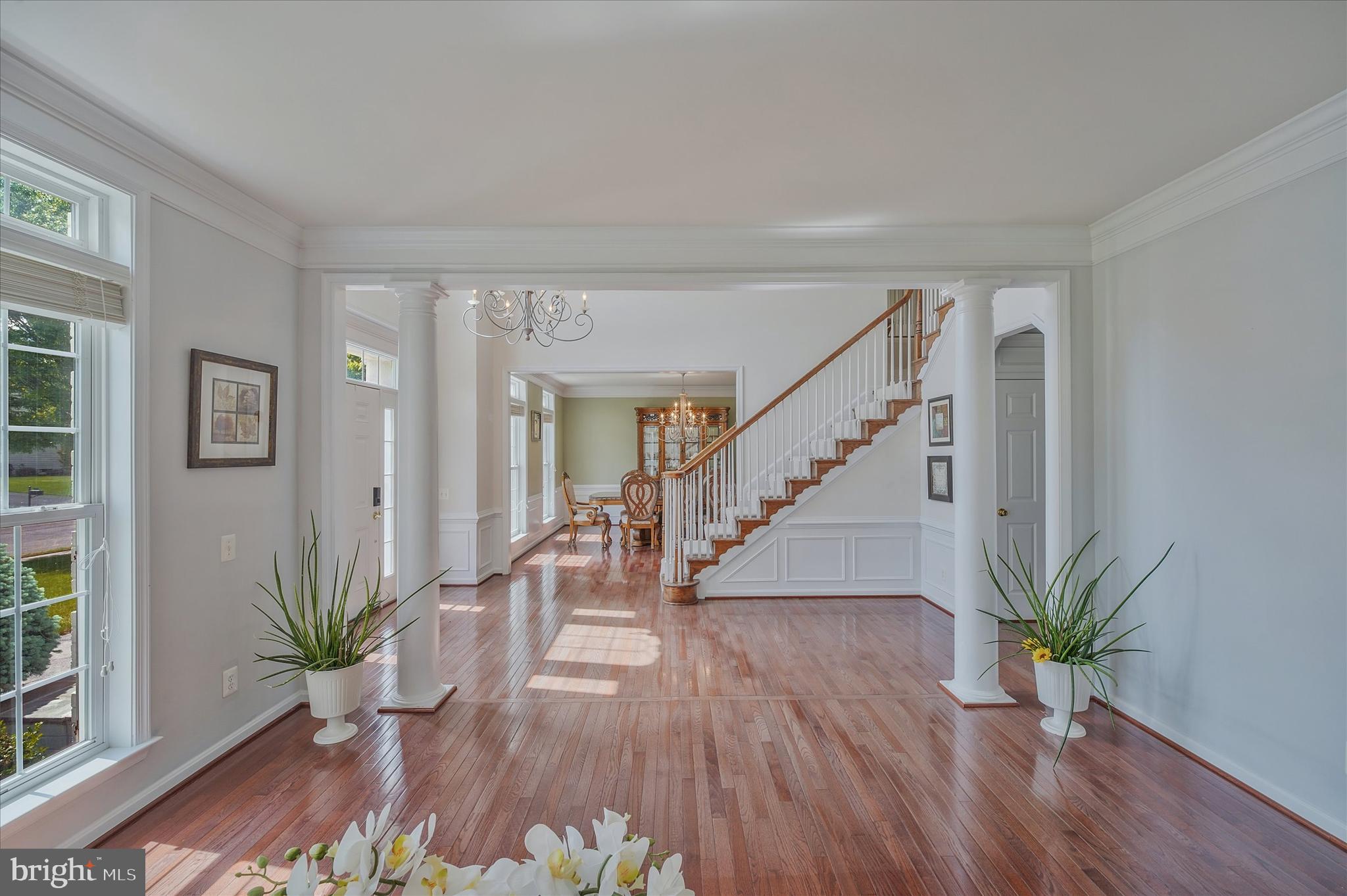 THE RIDINGS AT BLUE SPRING - Residential