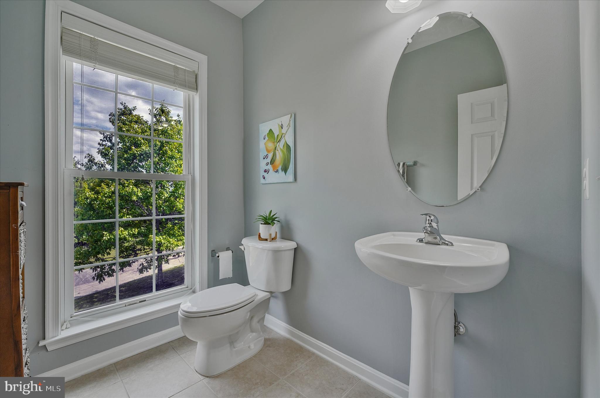 THE RIDINGS AT BLUE SPRING - Residential