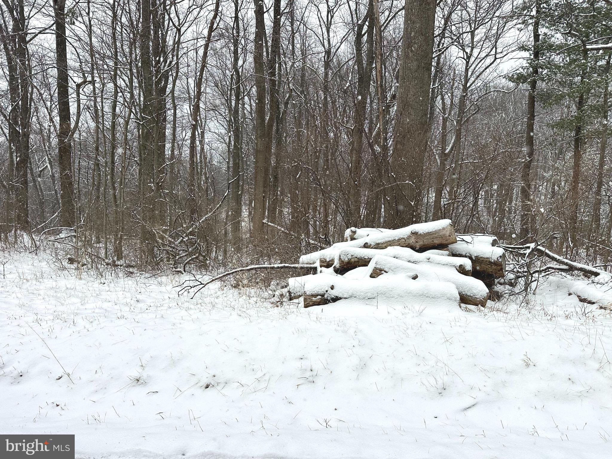 Lot 4 DUWAMISH TRAIL