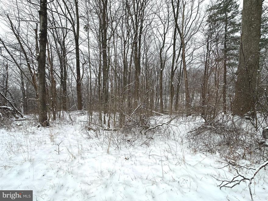 Build your perfect home in the  Shawnee Land community! This buildable 0.27-acre lot with a 2-bedroom perc offers a peaceful, natural setting while being conveniently located within 10 minutes of shopping, restaurants, the hospital, and the charm of Winchester’s Old Town. Enjoy wonderful community amenities, including a scenic lake with a sandy beach area, fishing, playground, and picnic areas—perfect for relaxation and outdoor recreation. A great opportunity to create your ideal home in a community that combines privacy, convenience, and lifestyle. All sizes are approximate. Sanitation Fees