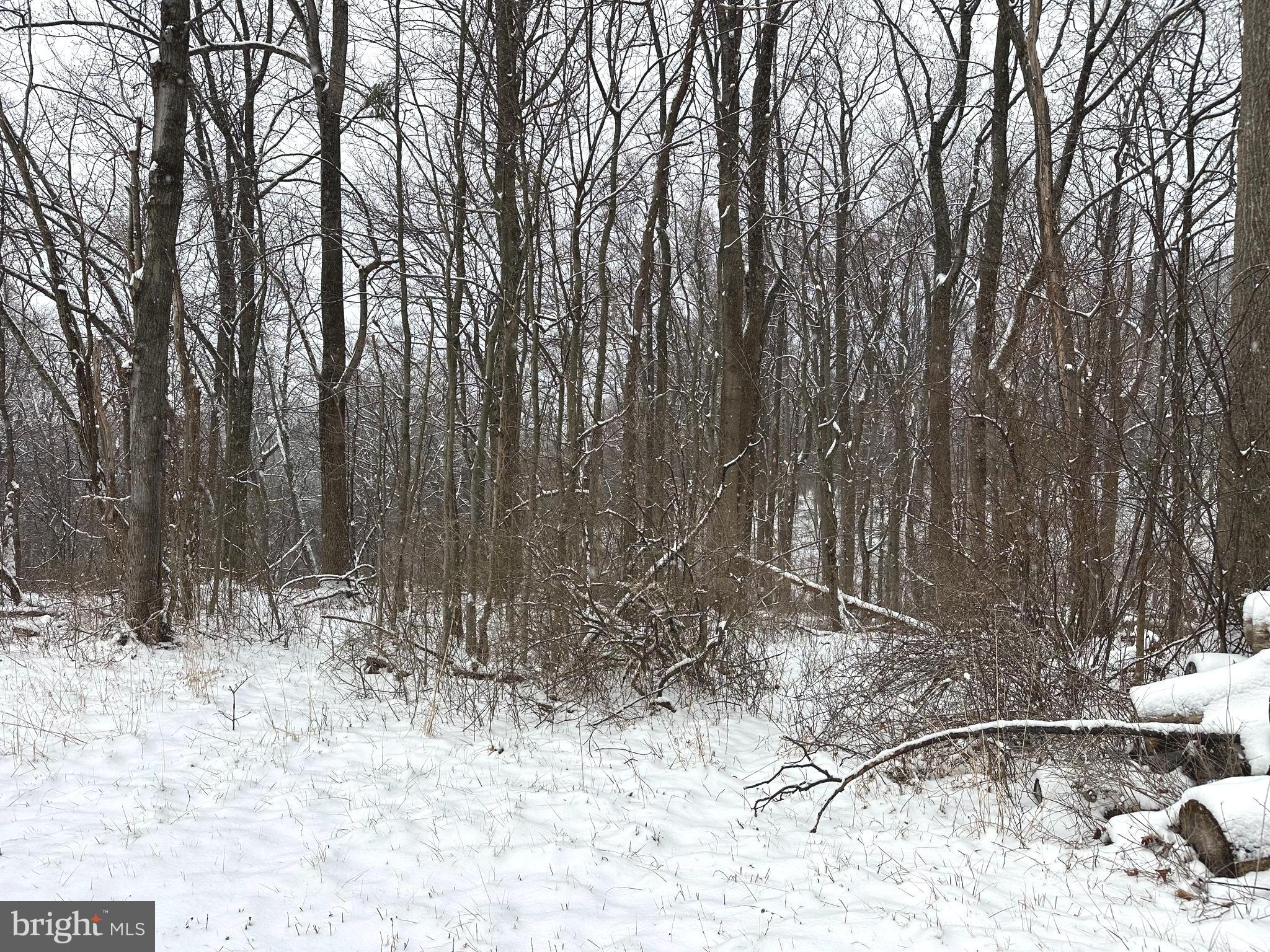 Lot 4 DUWAMISH TRAIL