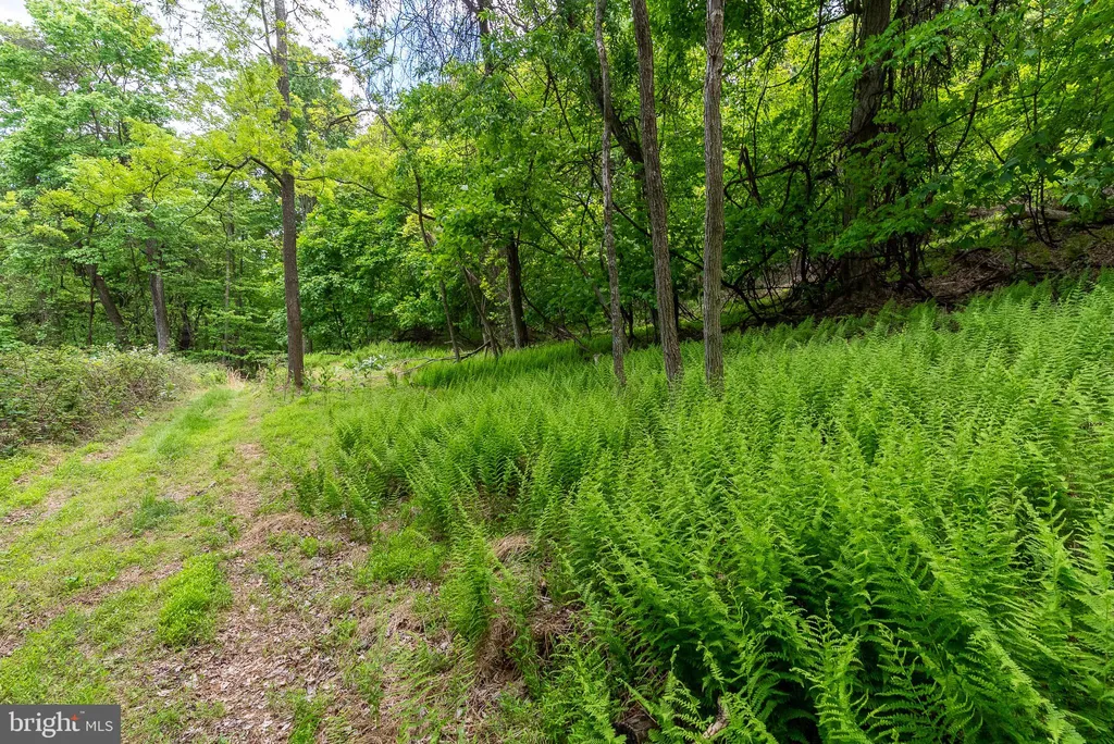 Additional image 82 of 2598 Mountain View Road, Moorefield, WV 26836
