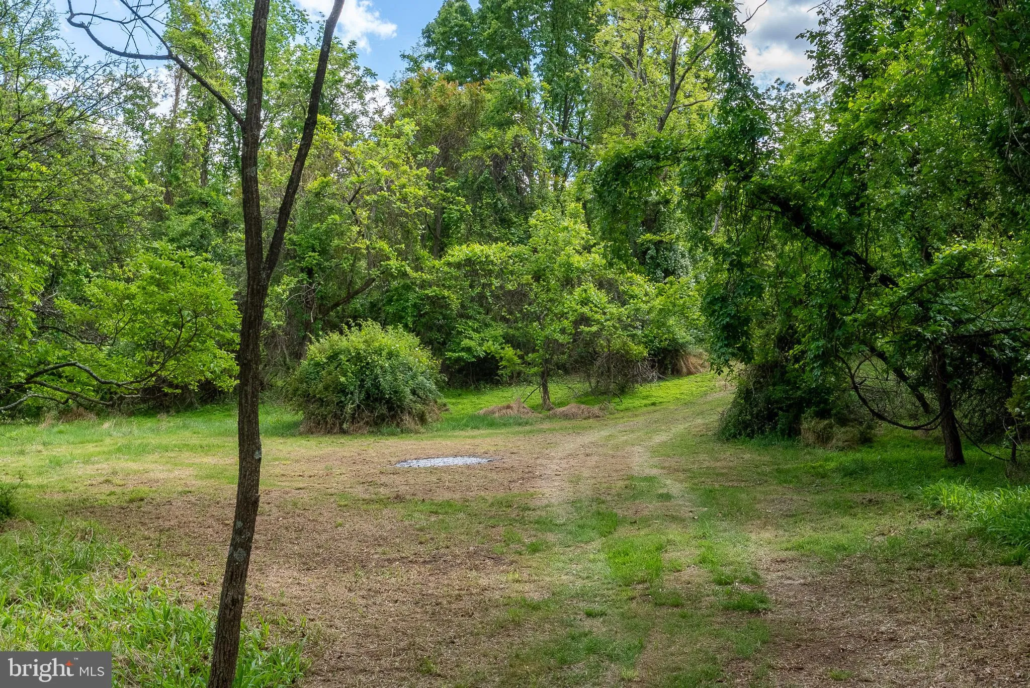 Additional image 157 of 2598 Mountain View Road, Moorefield, WV 26836