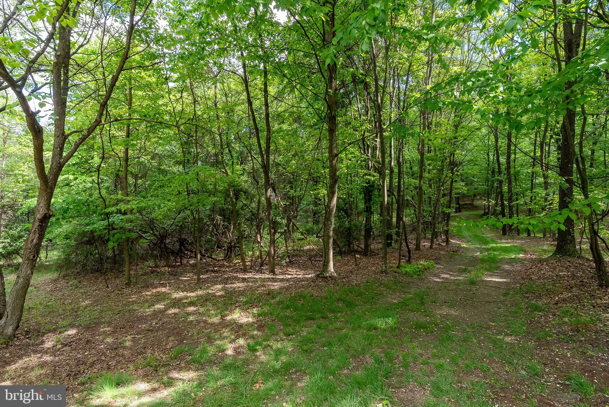 Additional image 162 of 2598 Mountain View Road, Moorefield, WV 26836