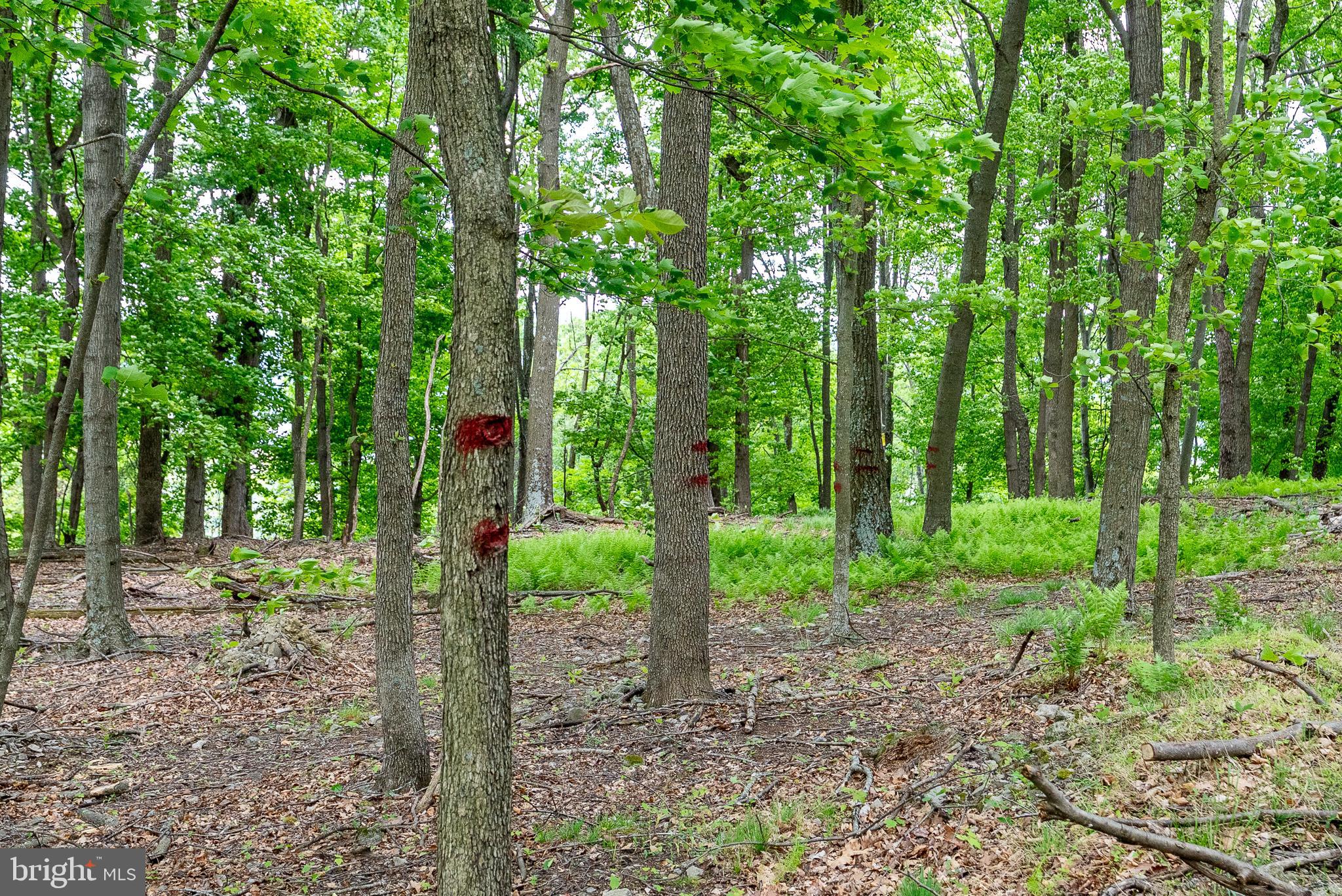 0 - Residential