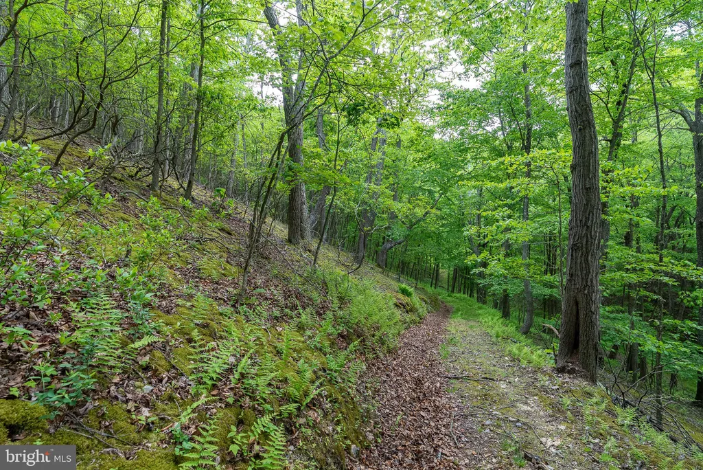 Additional image 78 of 2598 Mountain View Road, Moorefield, WV 26836