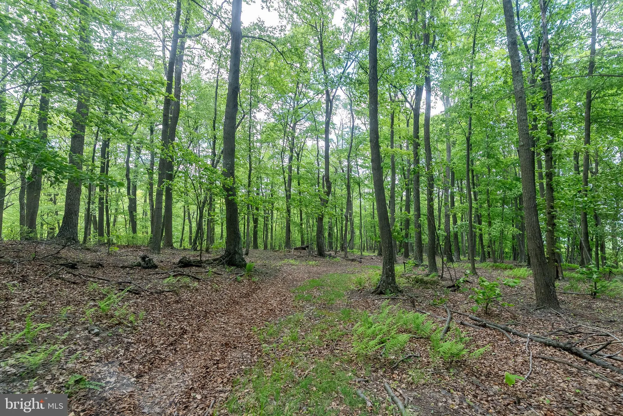 Additional image 170 of 2598 Mountain View Road, Moorefield, WV 26836