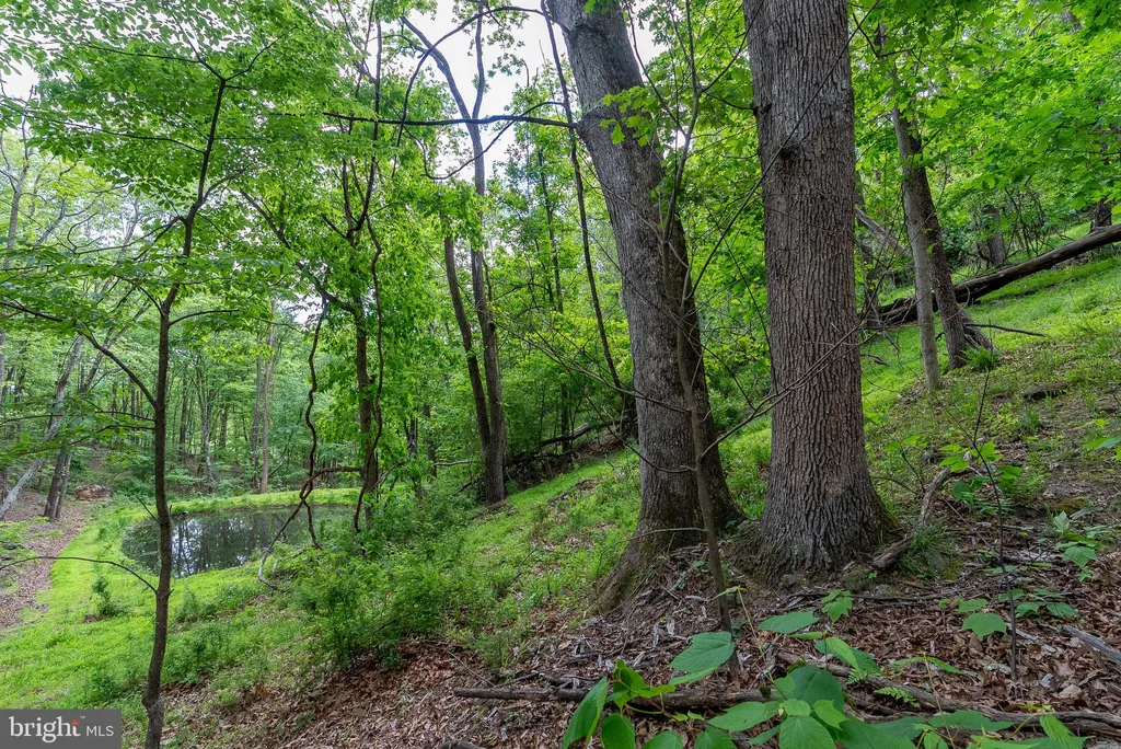 Additional image 83 of 2598 Mountain View Road, Moorefield, WV 26836