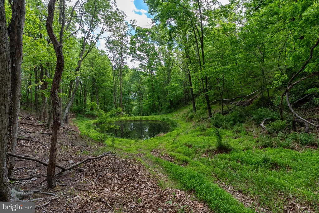 Additional image 84 of 2598 Mountain View Road, Moorefield, WV 26836