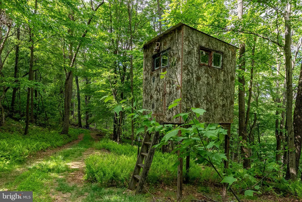 Additional image 80 of 2598 Mountain View Road, Moorefield, WV 26836