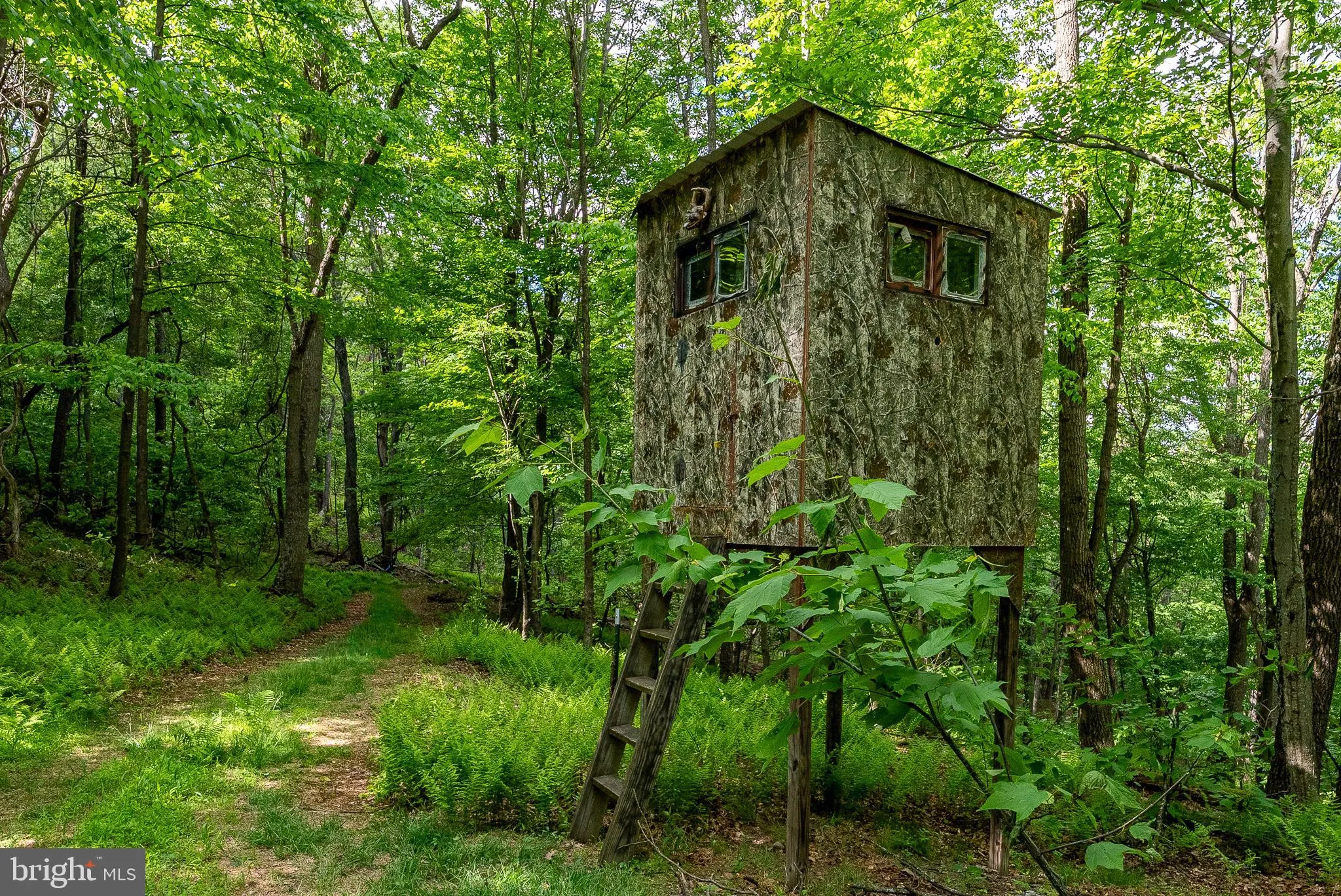 Additional image 169 of 2598 Mountain View Road, Moorefield, WV 26836