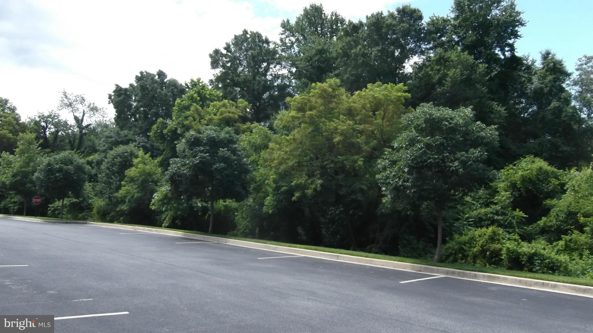 EAGLES LANDING AT WATERS EDGE - Residential