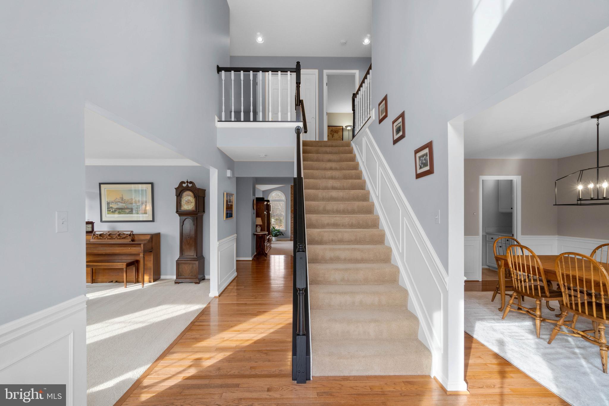 BOONE MEADOWS - Residential