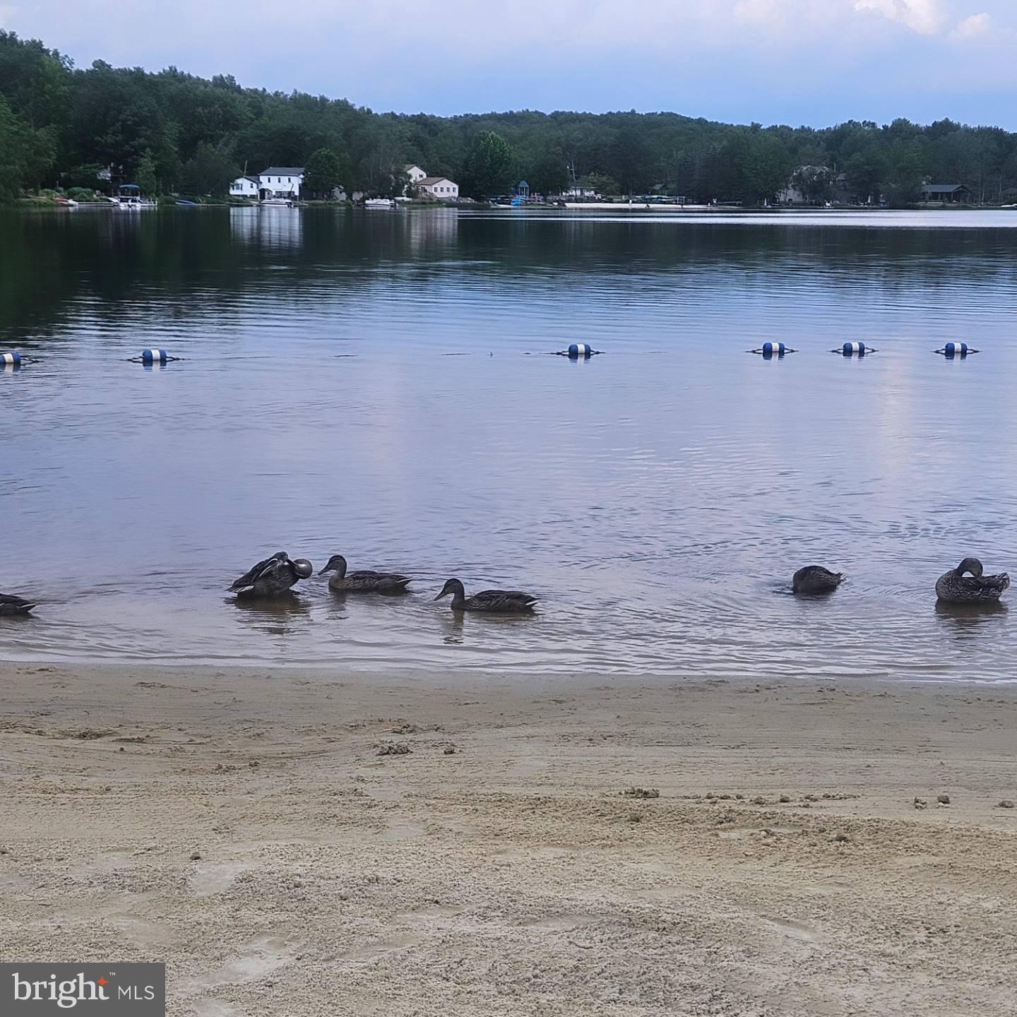 ARROWHEAD  LAKES - Residential