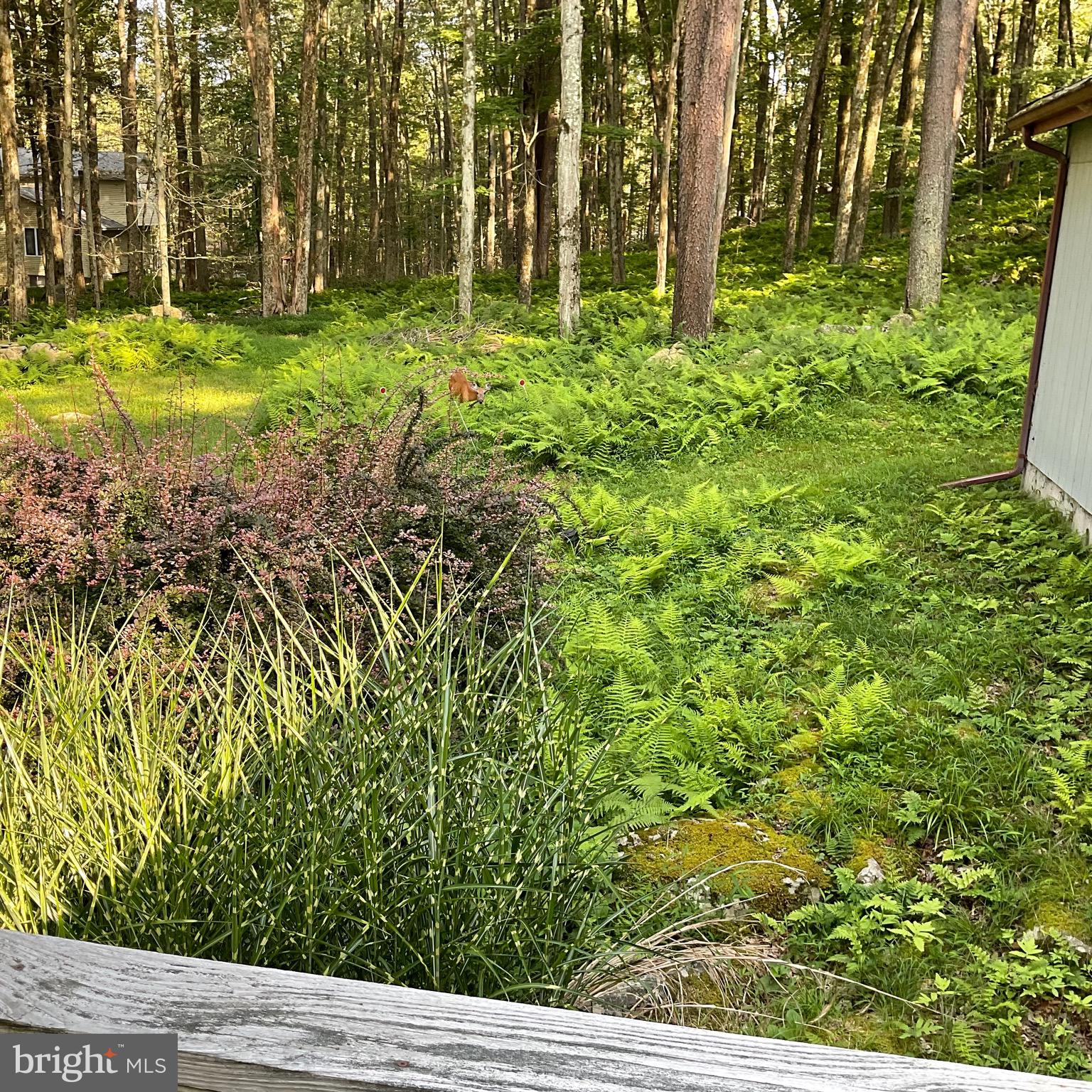 ARROWHEAD  LAKES - Residential