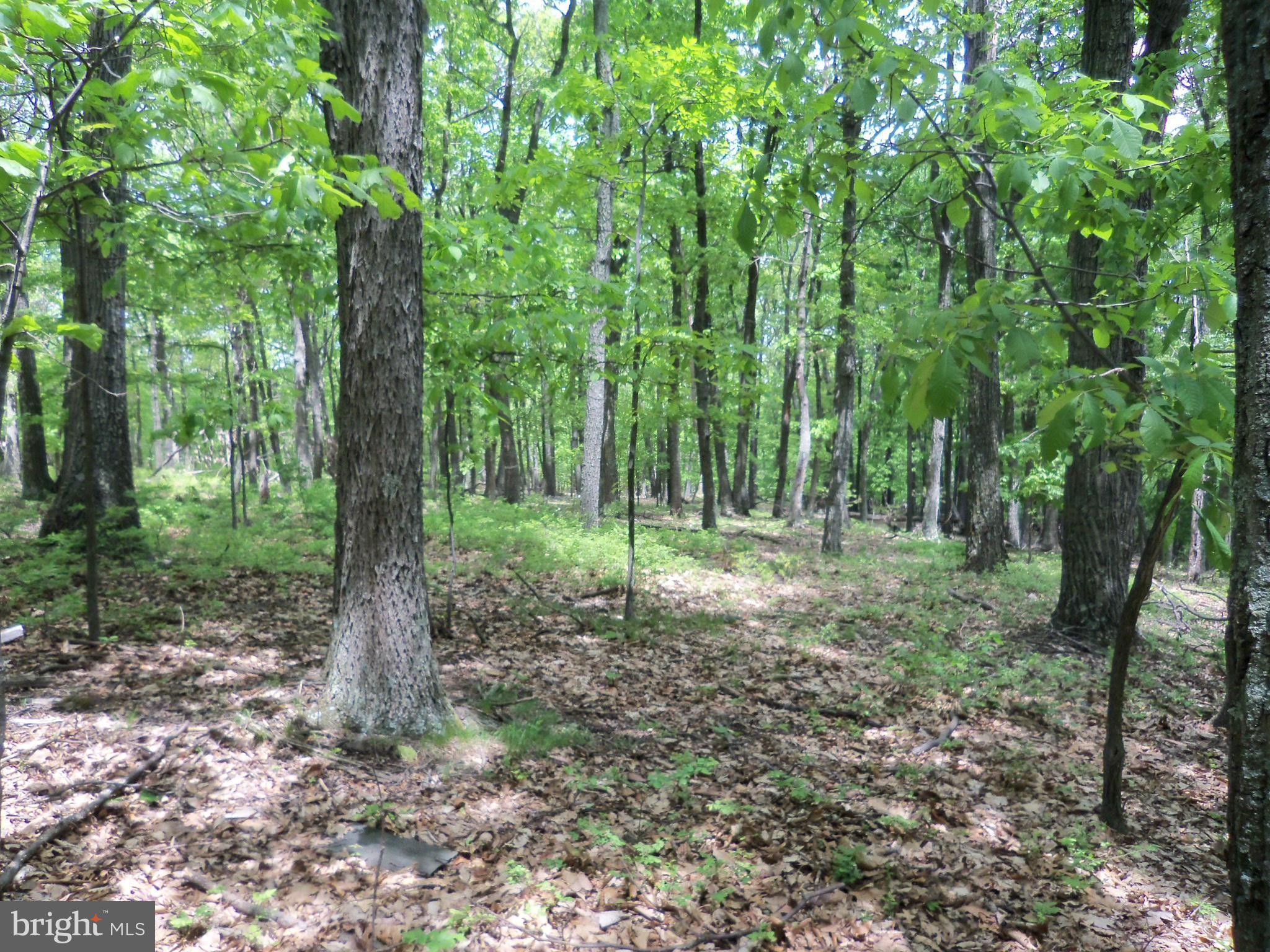 VALLEY HIGH TIMBER FARMS - Land
