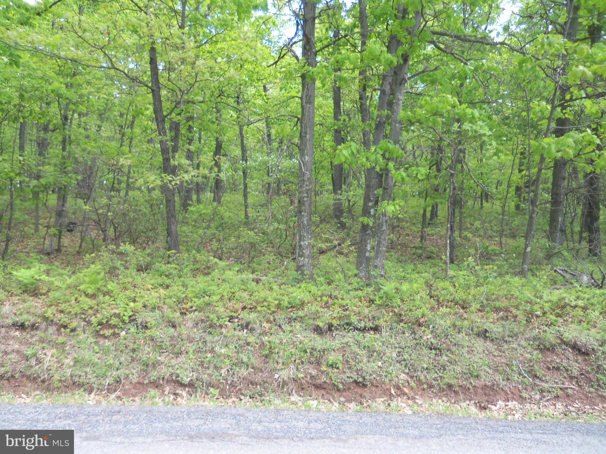 VALLEY HIGH TIMBER FARMS - Land