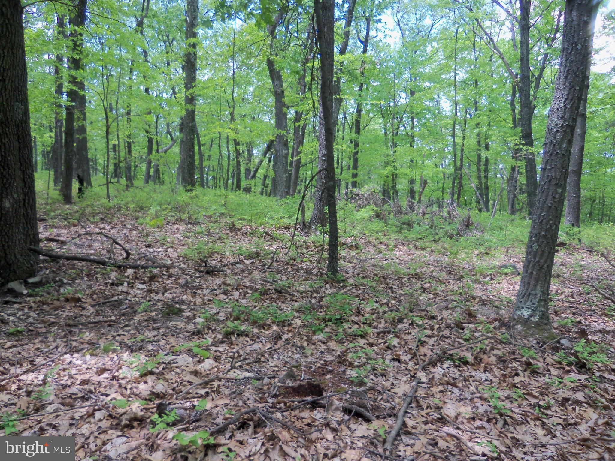 VALLEY HIGH TIMBER FARMS - Land