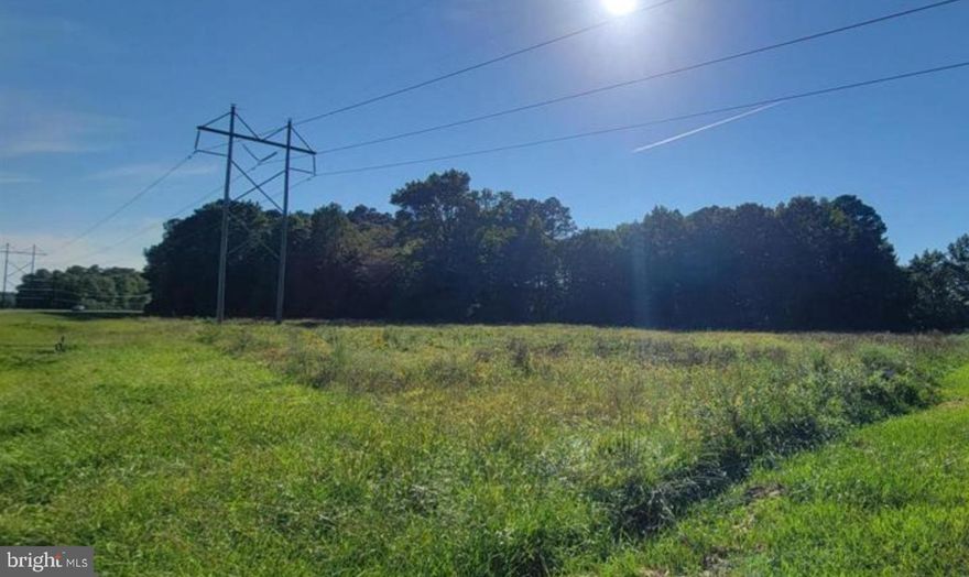 Nice 11.38 lot available this parcel has 2 pieces of land the other one is across road sign on property. Owner will finance with a deposit down. Land needs to be evaluated for perc test.