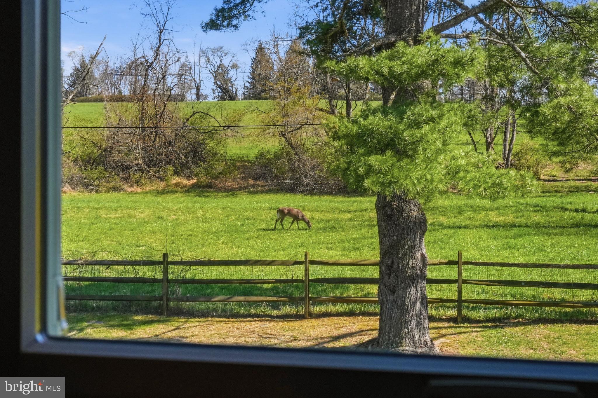 OSBORNE HILL - Residential