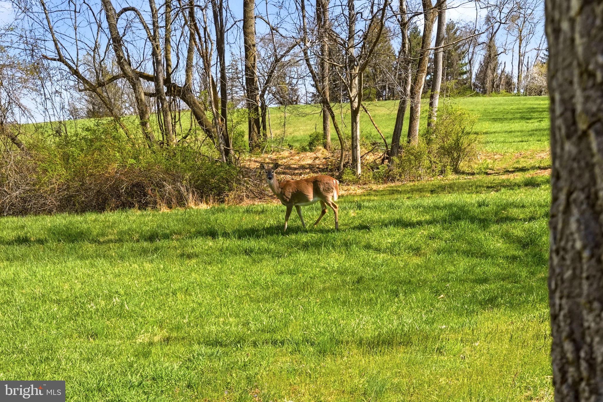 OSBORNE HILL - Residential
