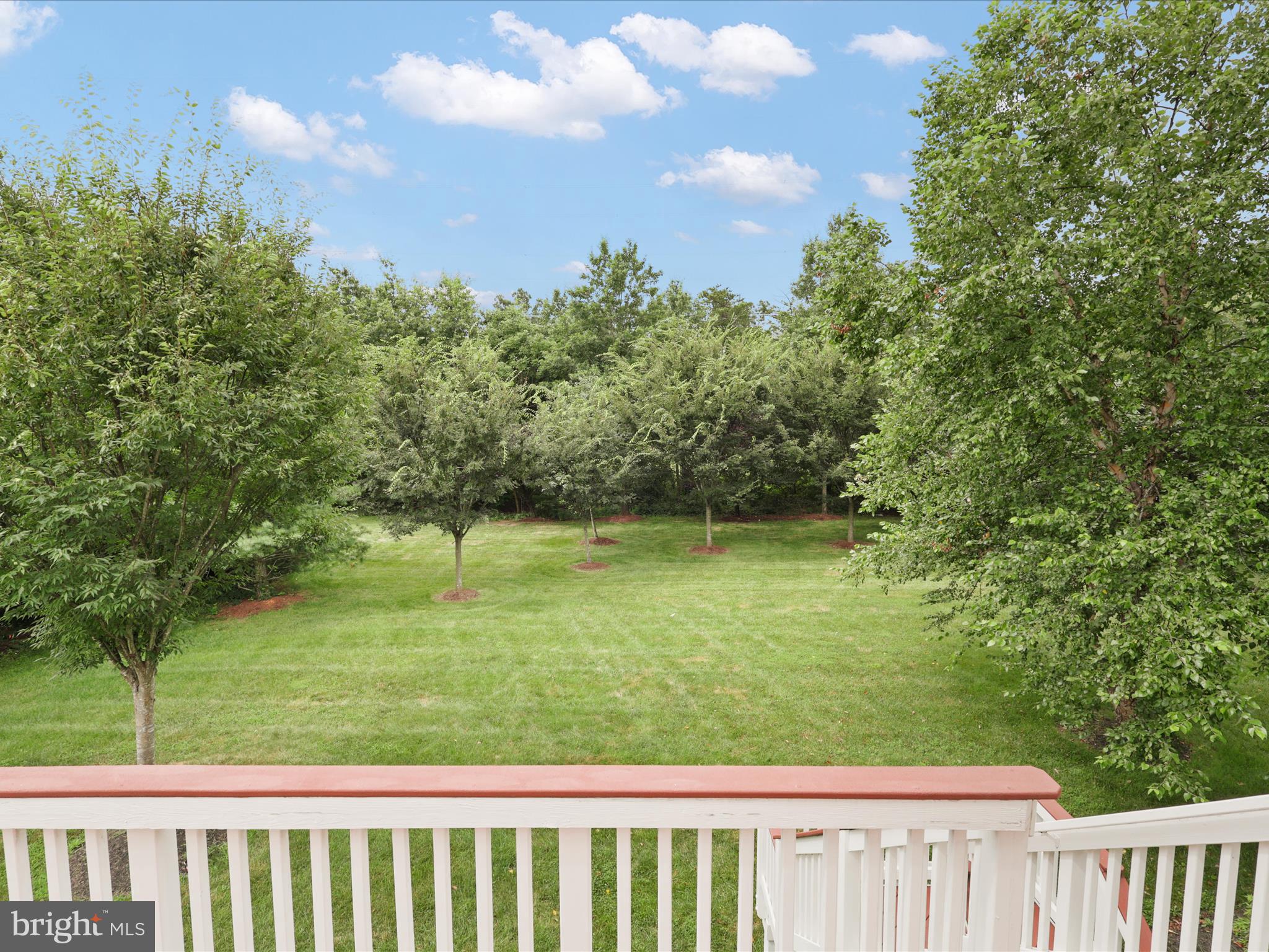 CHASE AT BELMONT COUNTRY - Residential