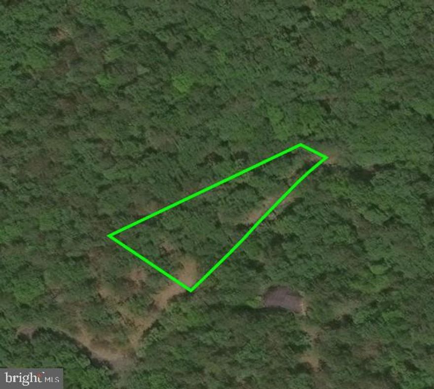 Welcome to Lot 41 Nicklaus Drive, a .269-acre wooded homesite located in the heart of the beautiful Bryce Resort community in Basye, VA. Nestled on a quiet, maintained road, this parcel offers the ideal setting for your future mountain retreat or year-round home.

The lot is surrounded by mature trees, providing a peaceful, natural backdrop and excellent privacy. Located just minutes from the resort’s full range of four-season amenities—including skiing, golf, lake activities, biking, dining, and more—you’ll enjoy the perfect mix of tranquility and recreation.

Public water and sewer services are available, making it easy to start building your dream getaway. Whether you're planning a cozy cabin, a modern escape, or an investment property, Lot 41 offers incredible potential in one of Virginia’s most charming resort destinations.

Don’t miss your chance to own a piece of paradise in Bryce Resort – schedule your visit to Lot 41 today!