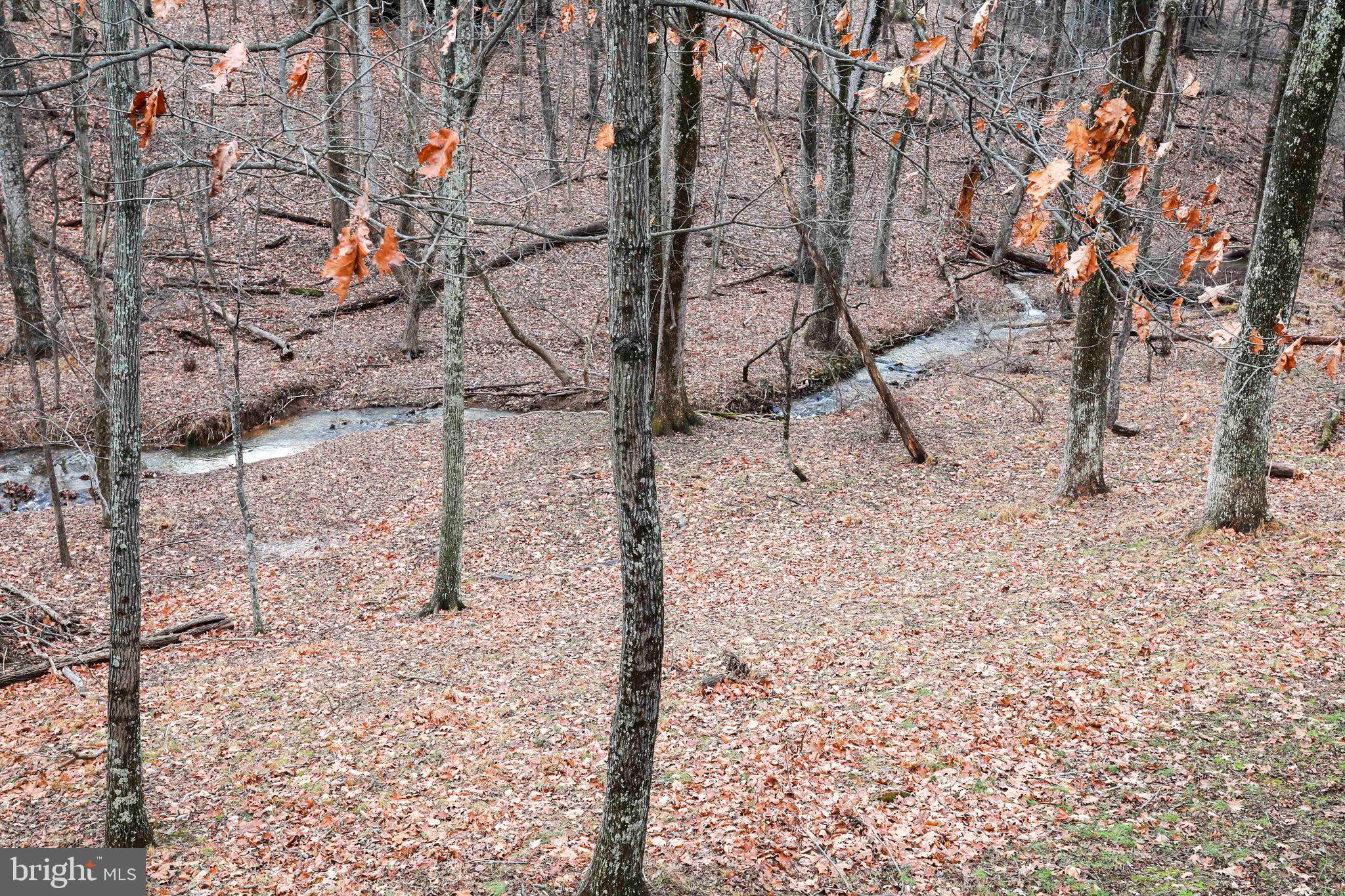 THE WOODS RESORT - Residential