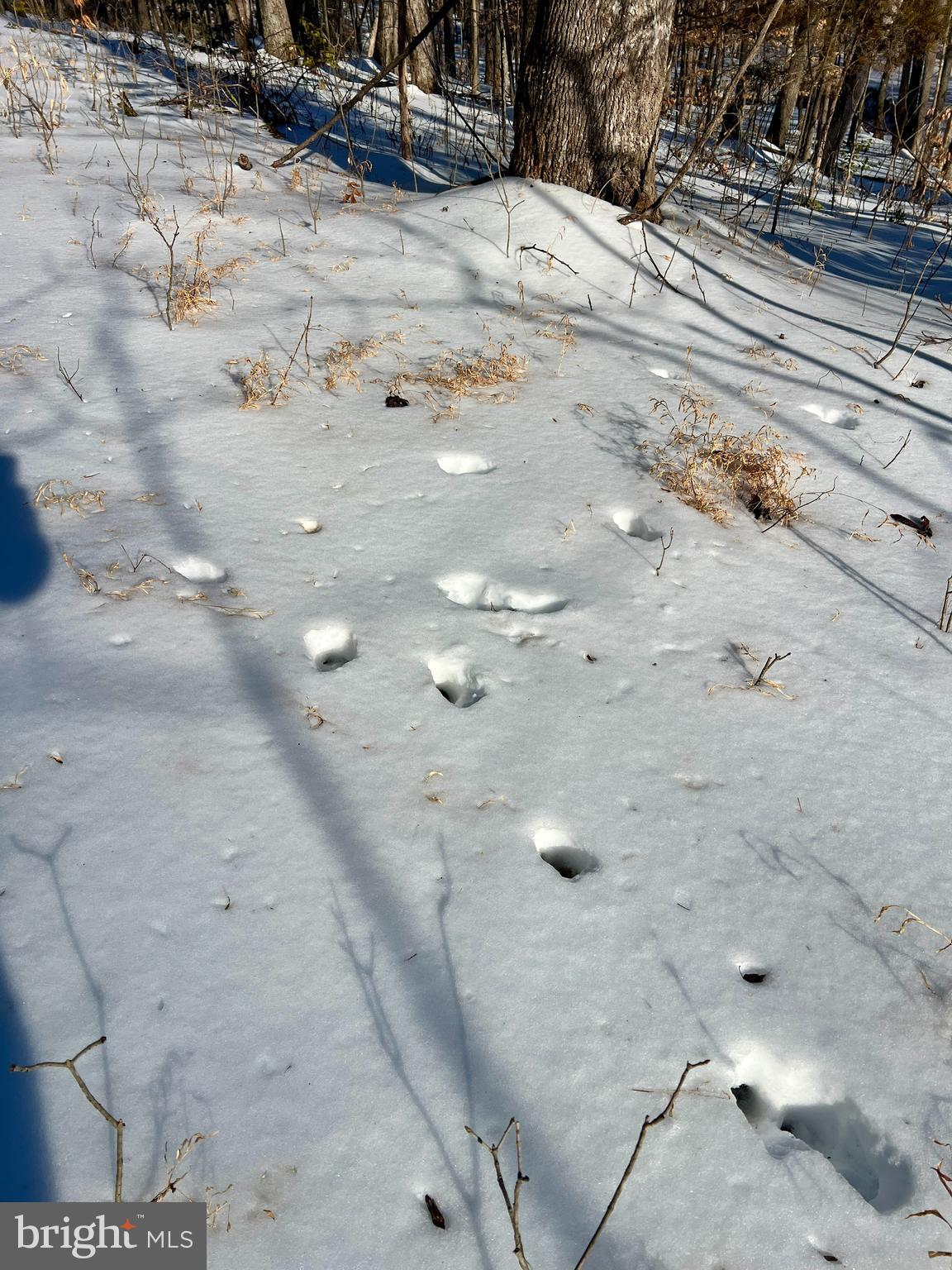 NONE AVAILABLE - Land