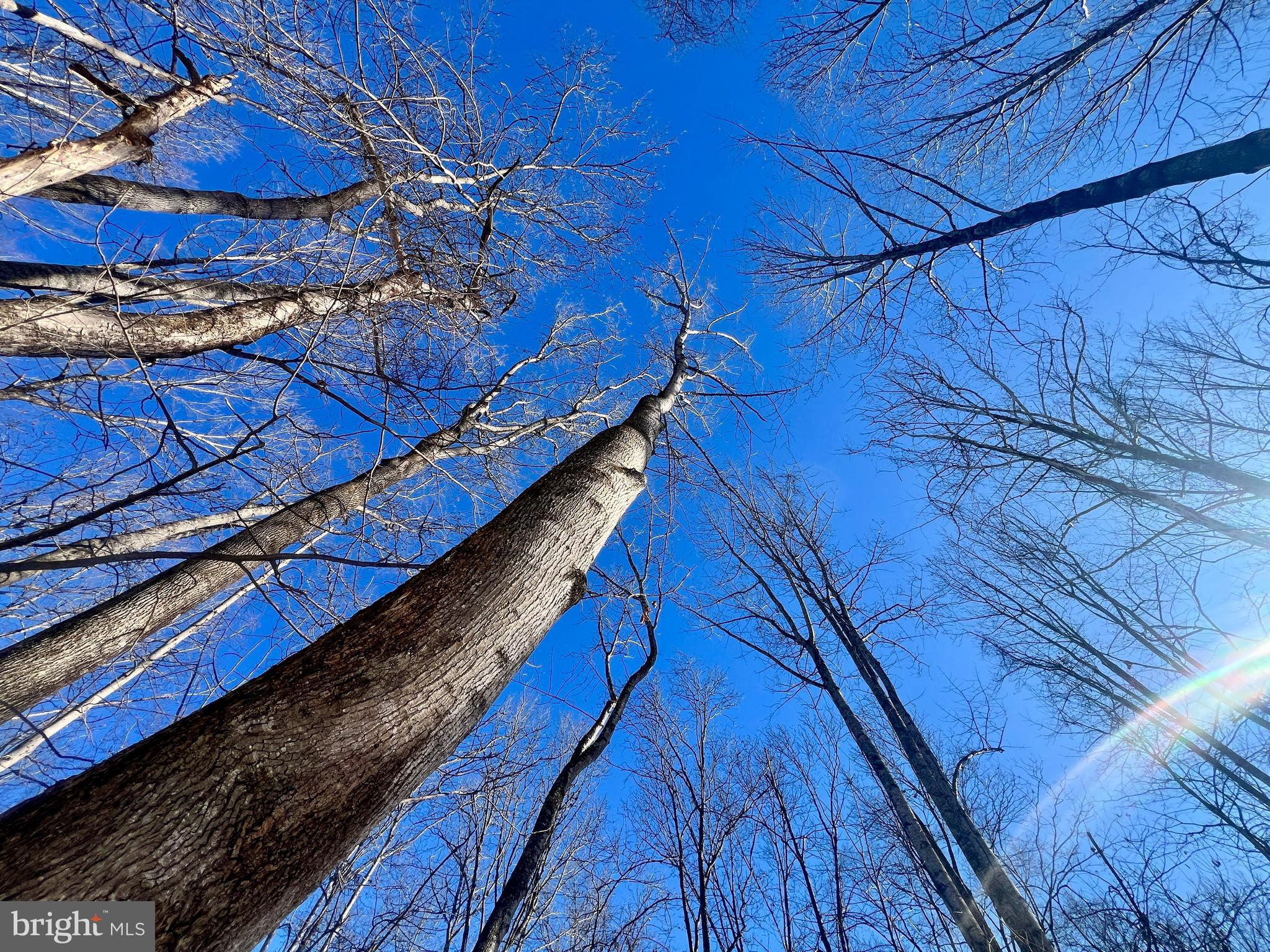 NONE AVAILABLE - Land