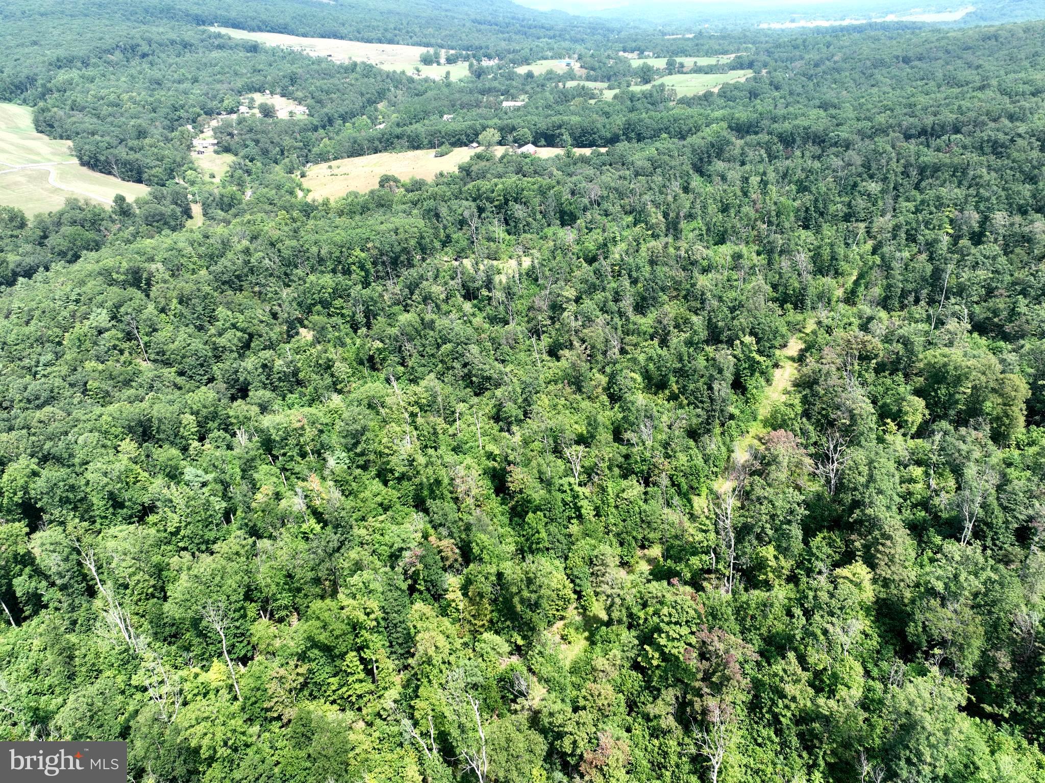 NONE AVAILABLE - Land