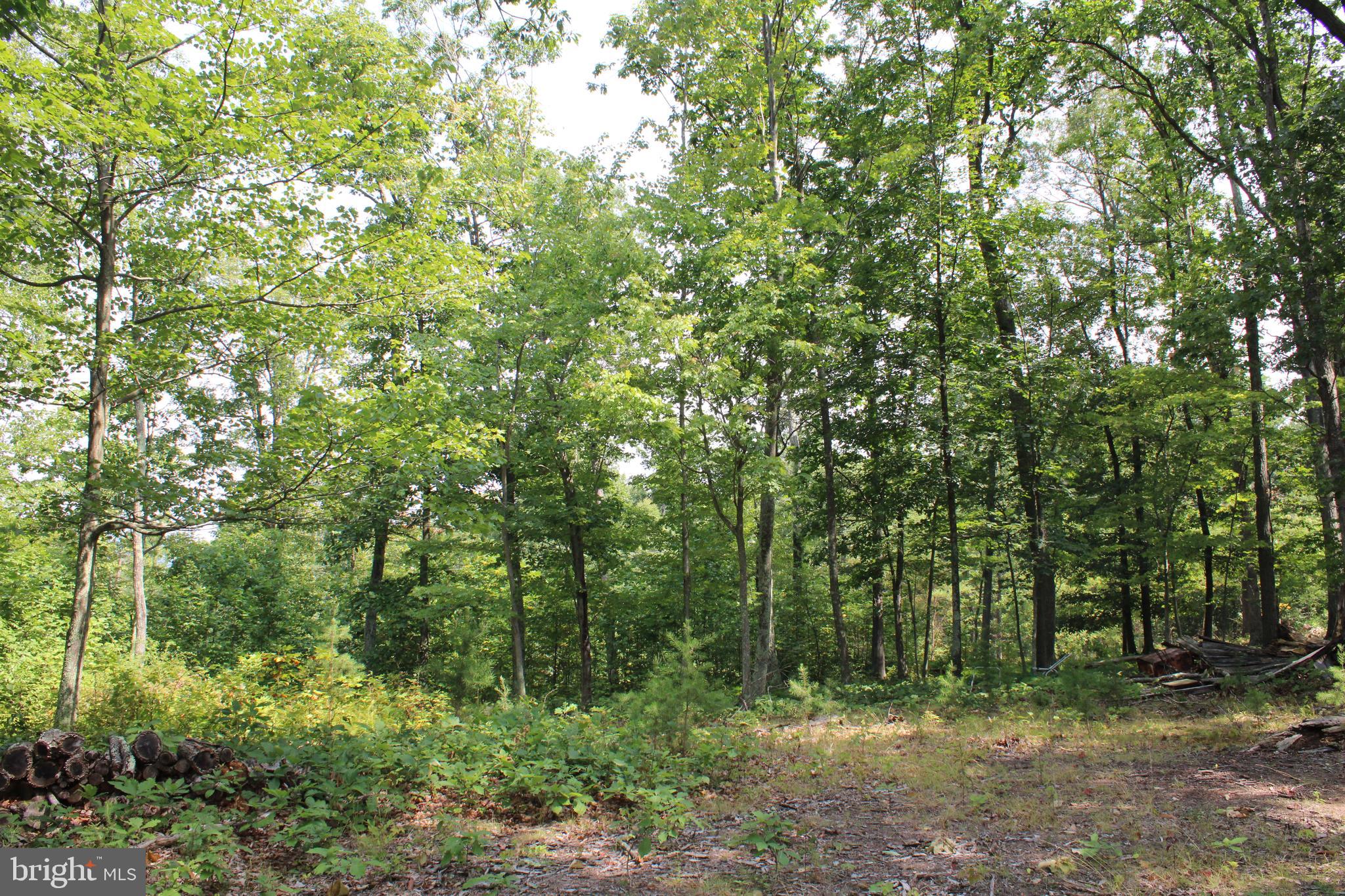 NONE AVAILABLE - Land