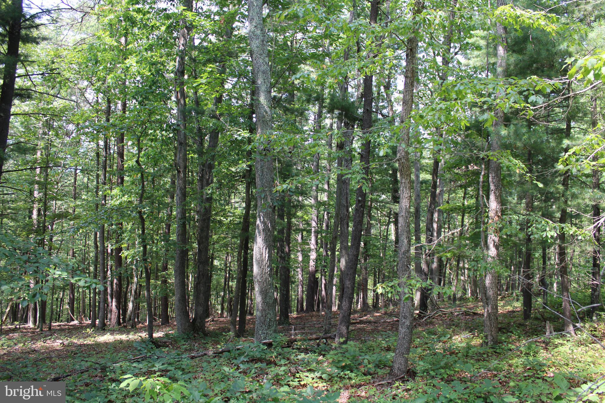 NONE AVAILABLE - Land