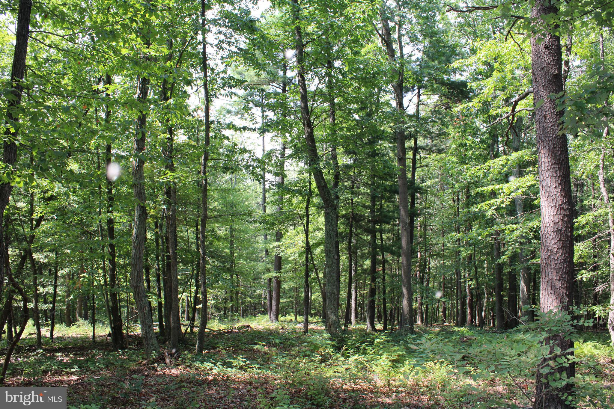 NONE AVAILABLE - Land