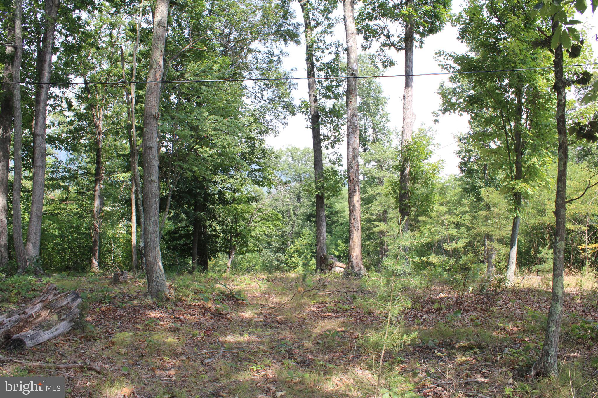 NONE AVAILABLE - Land