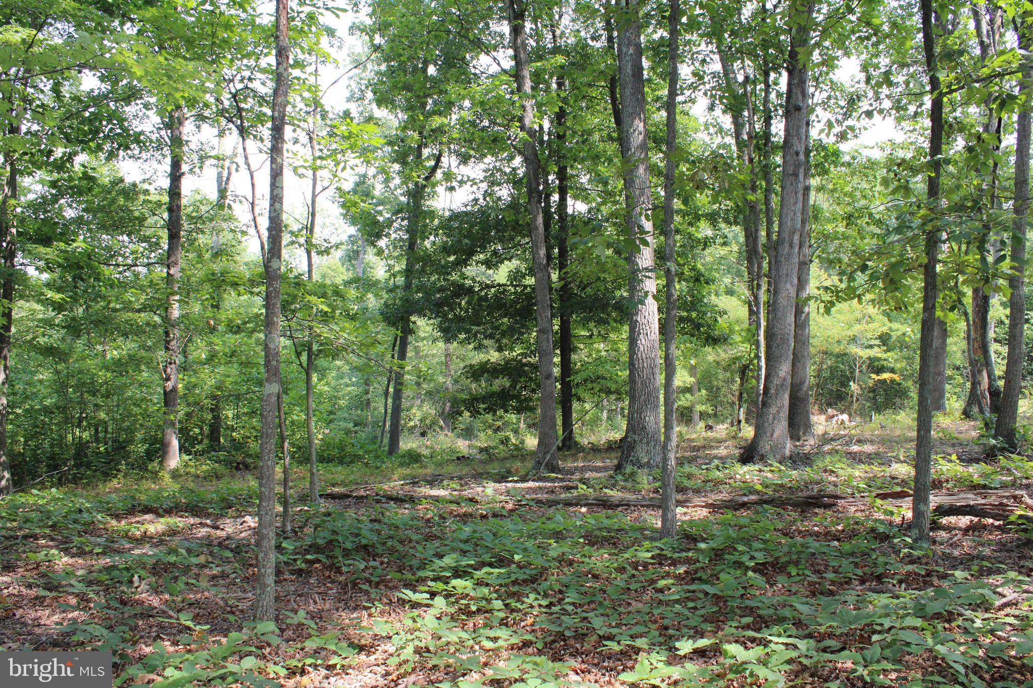 NONE AVAILABLE - Land