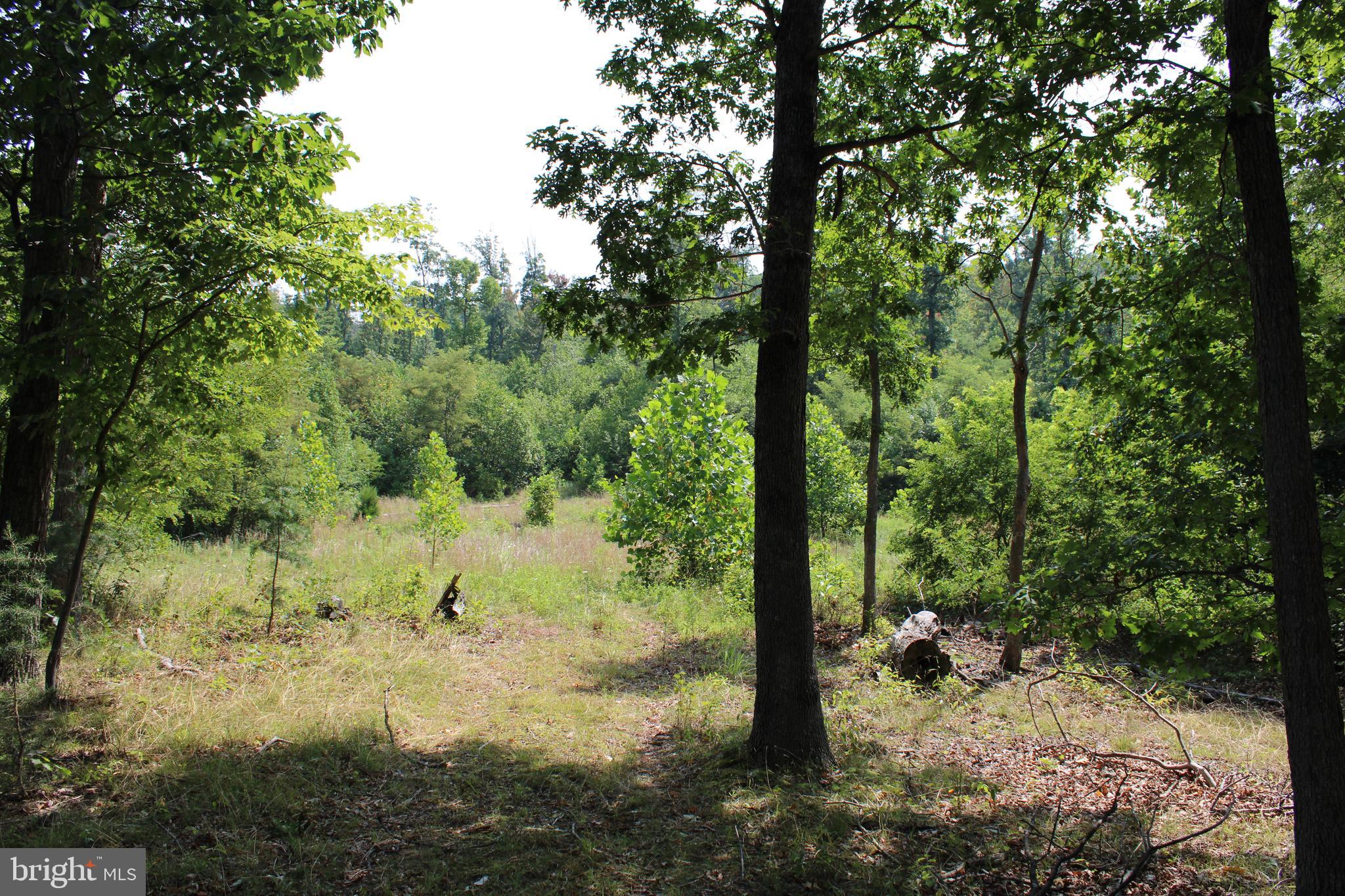 NONE AVAILABLE - Land