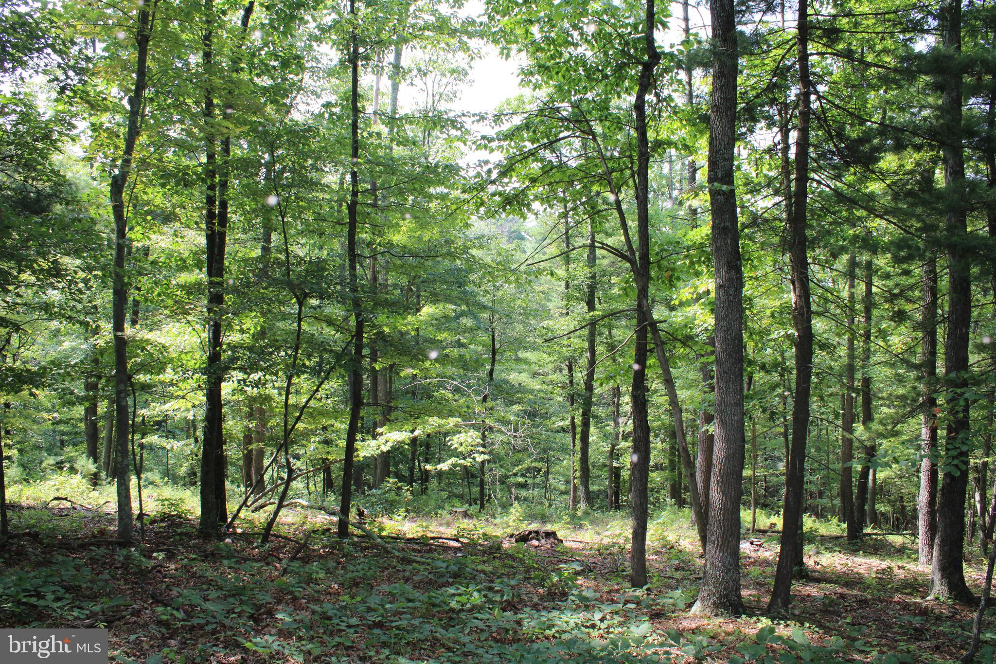 NONE AVAILABLE - Land