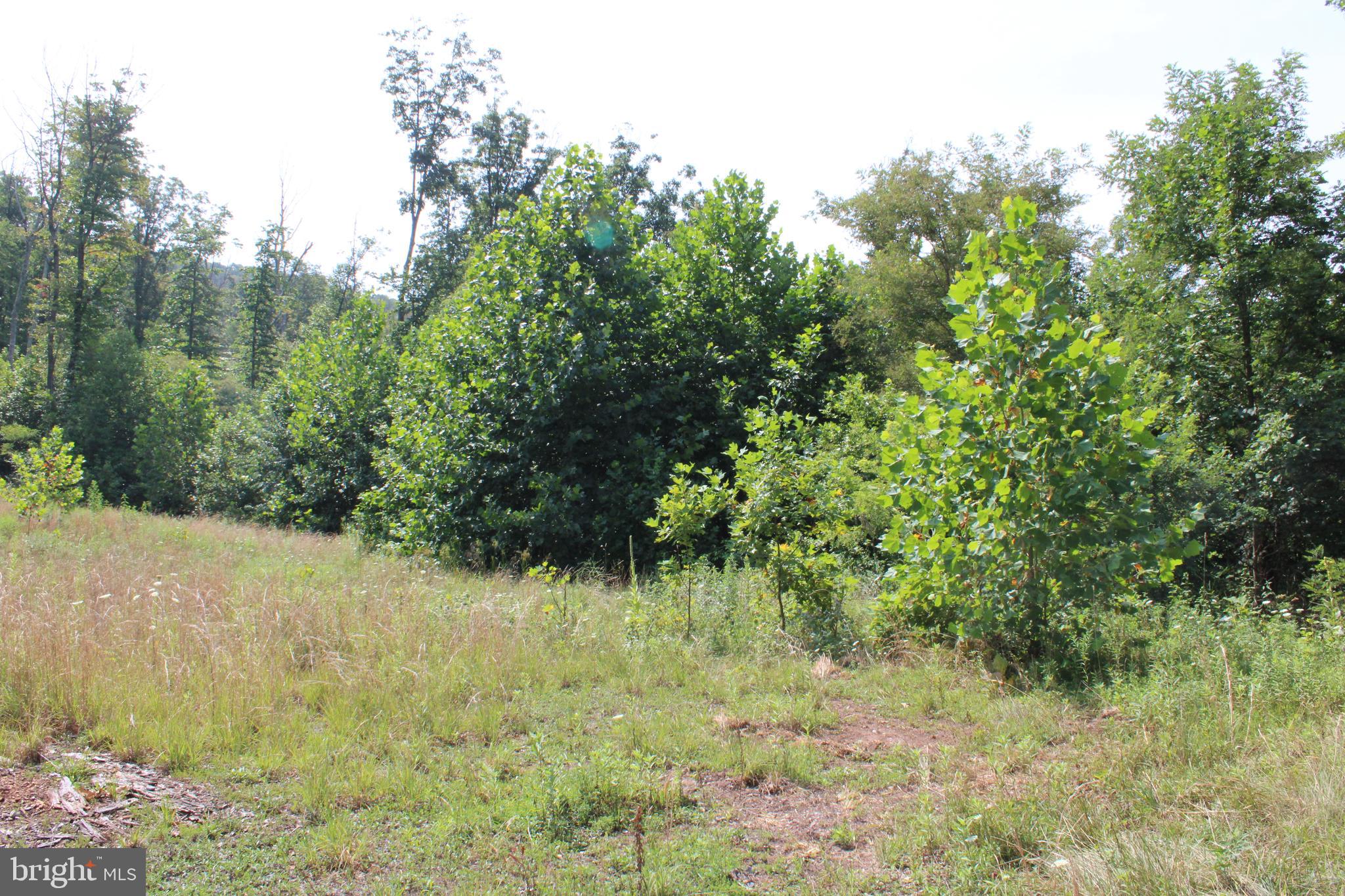 NONE AVAILABLE - Land