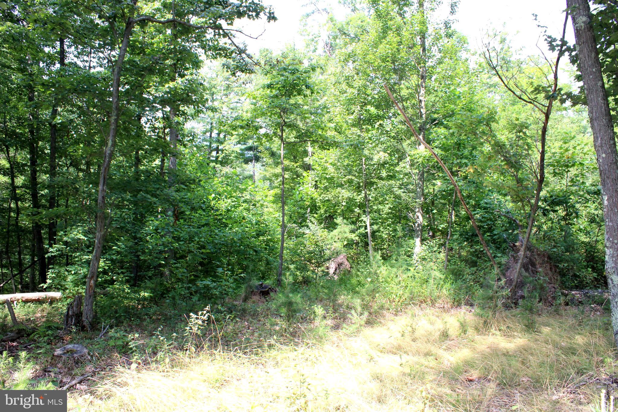 NONE AVAILABLE - Land