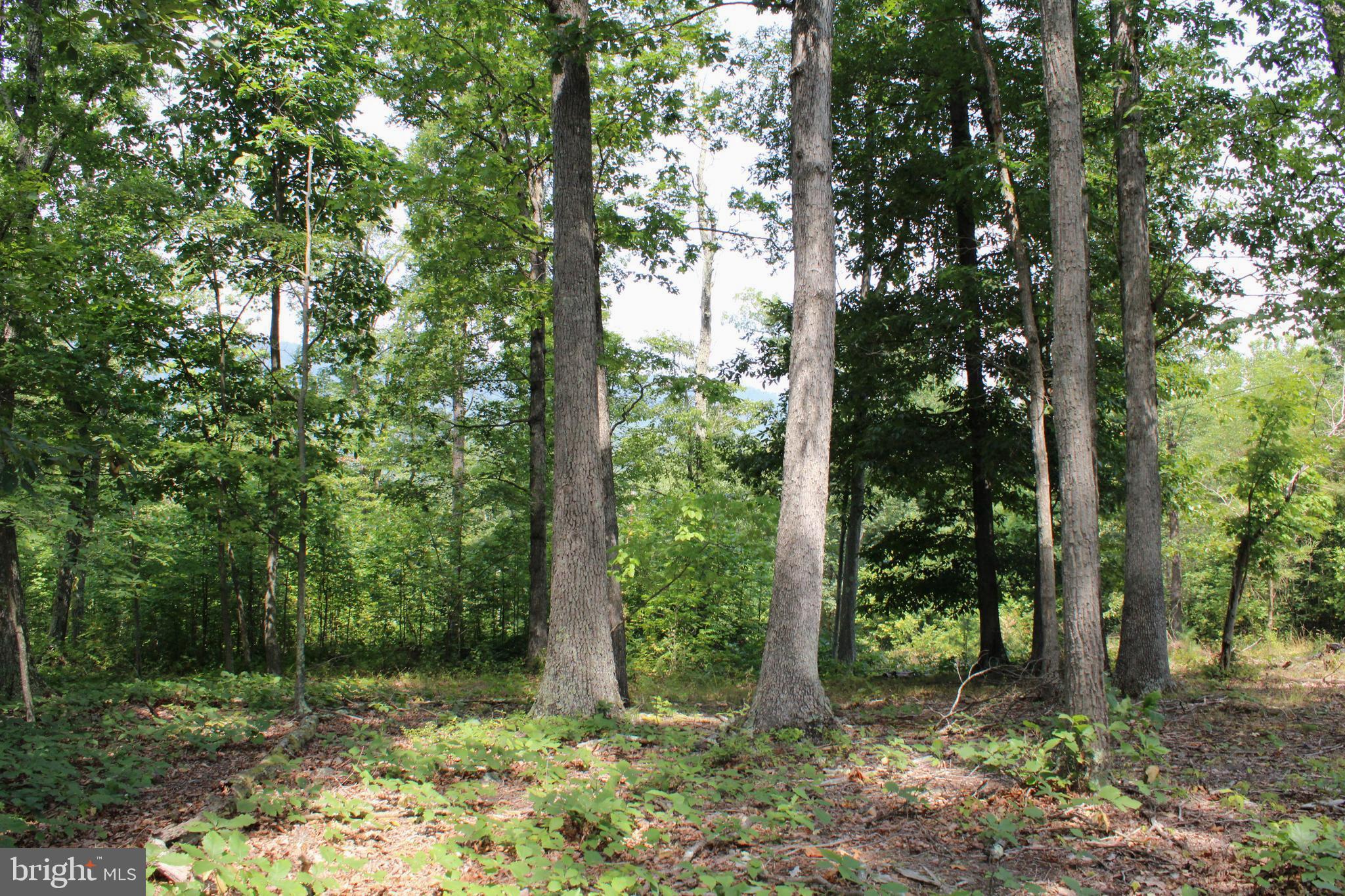 NONE AVAILABLE - Land