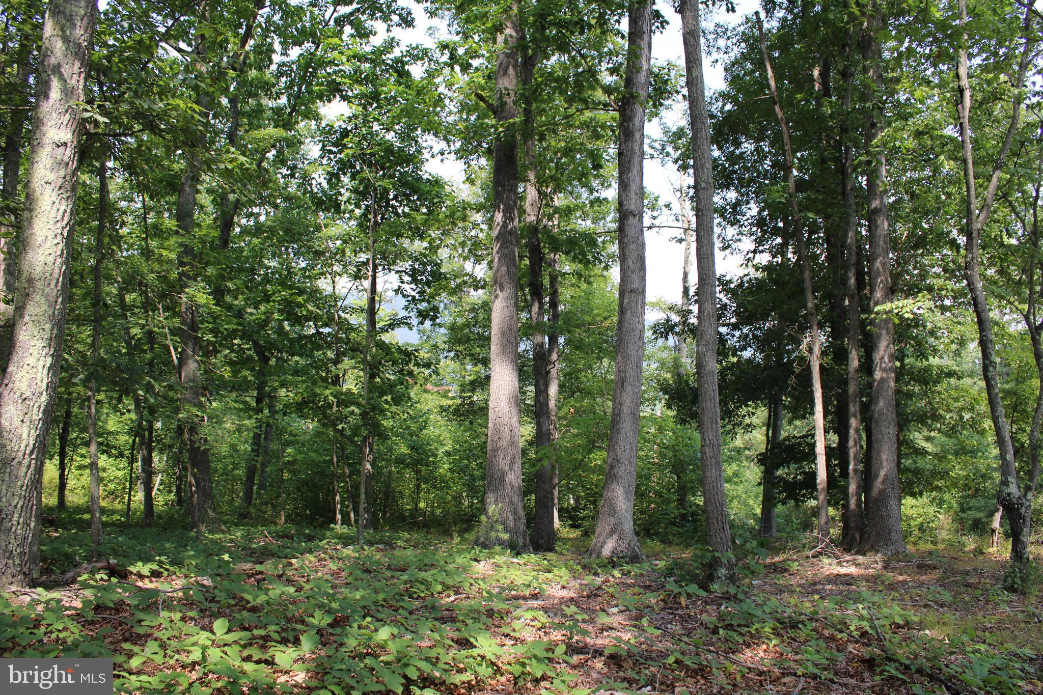 NONE AVAILABLE - Land