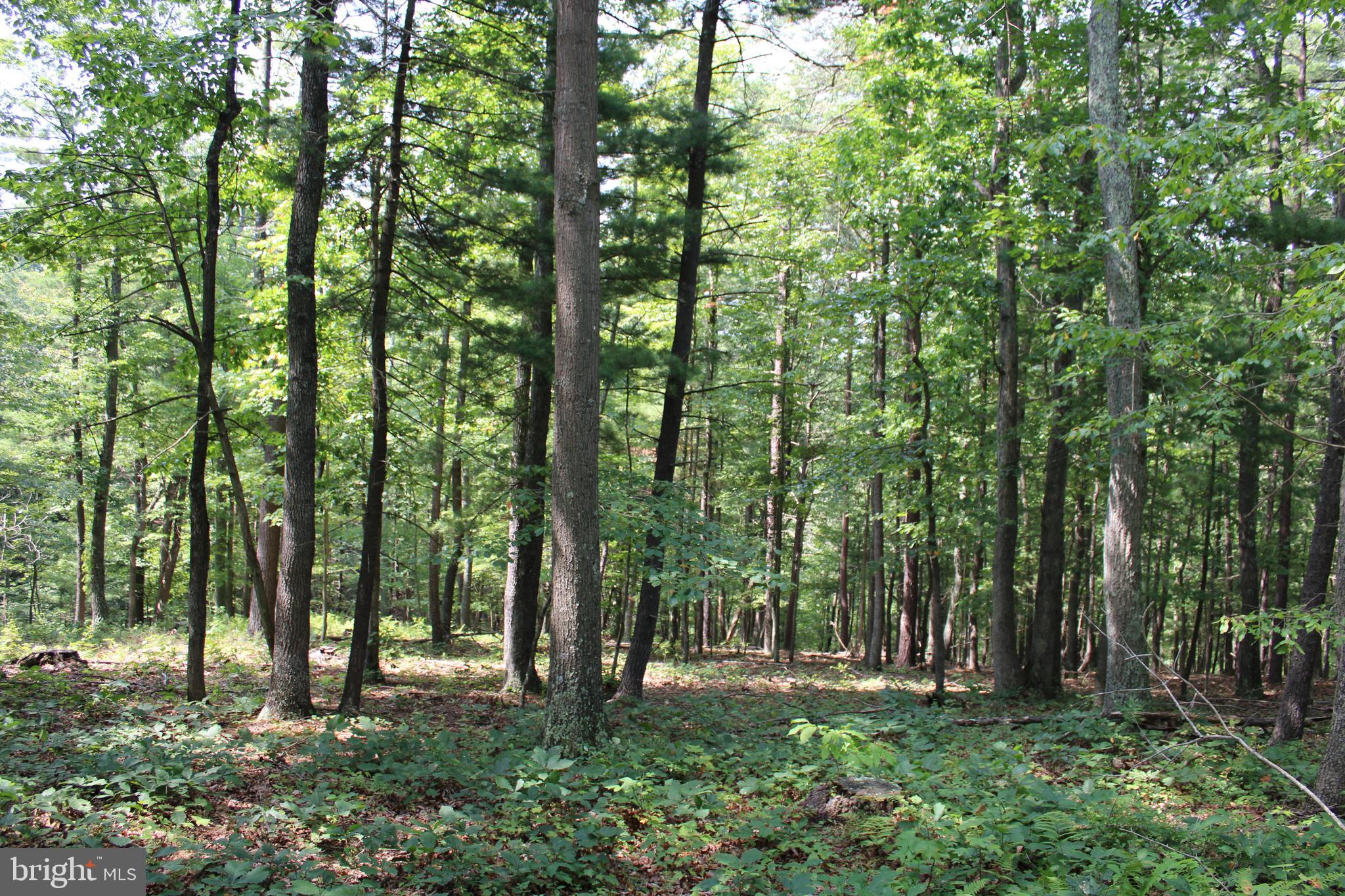 NONE AVAILABLE - Land