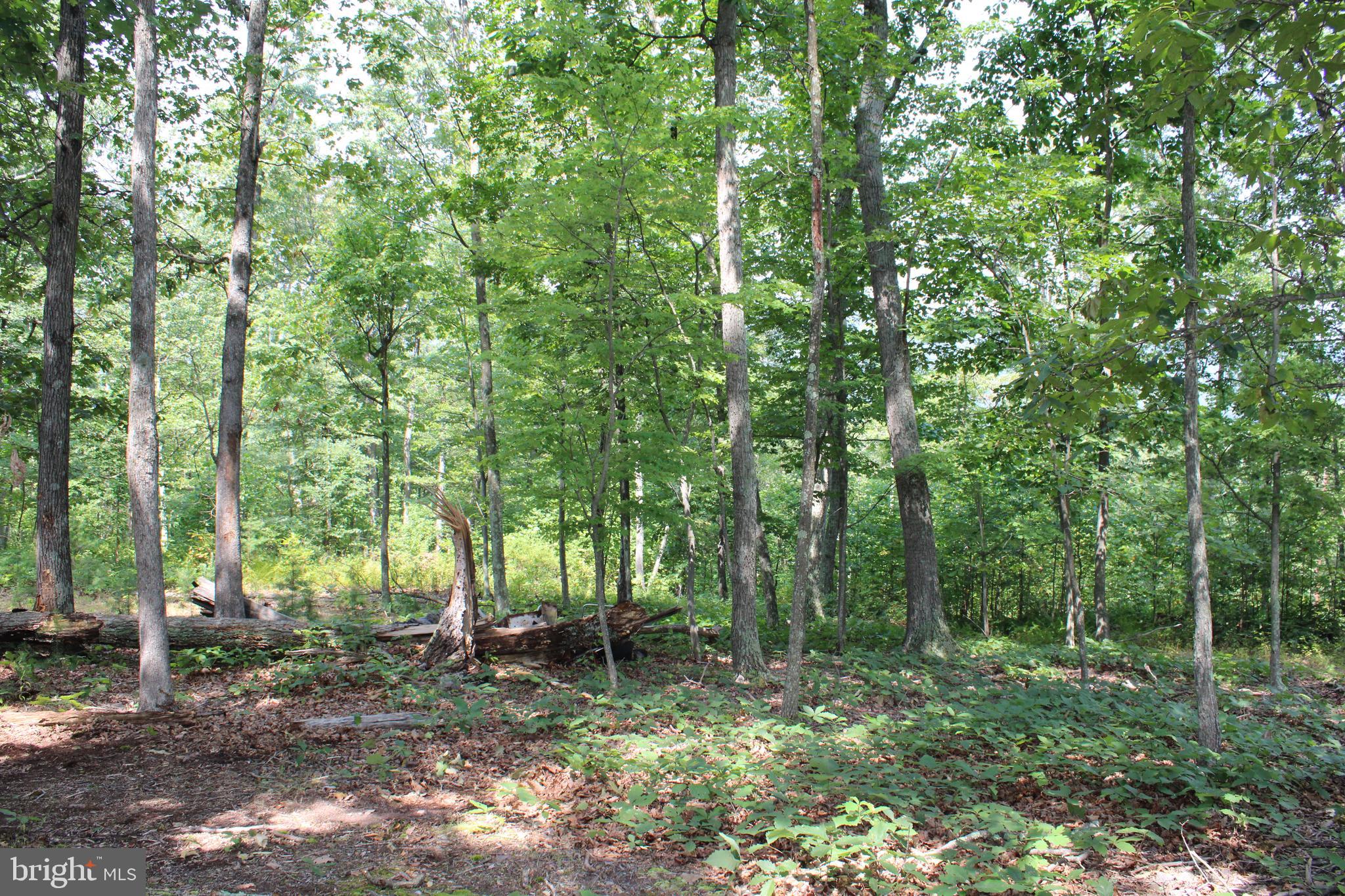 NONE AVAILABLE - Land