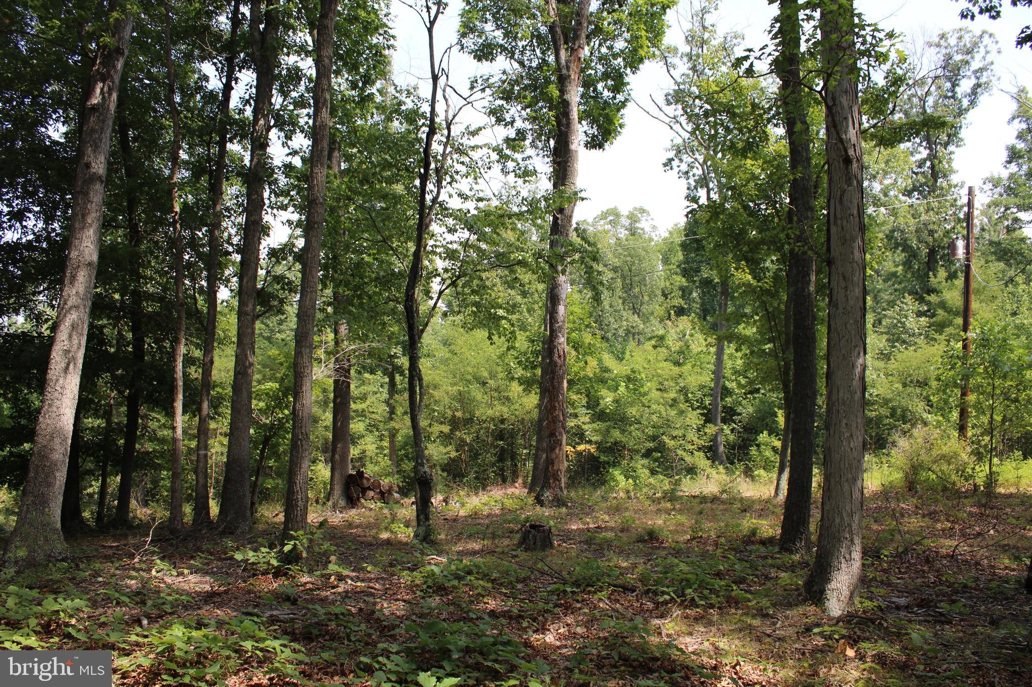 NONE AVAILABLE - Land